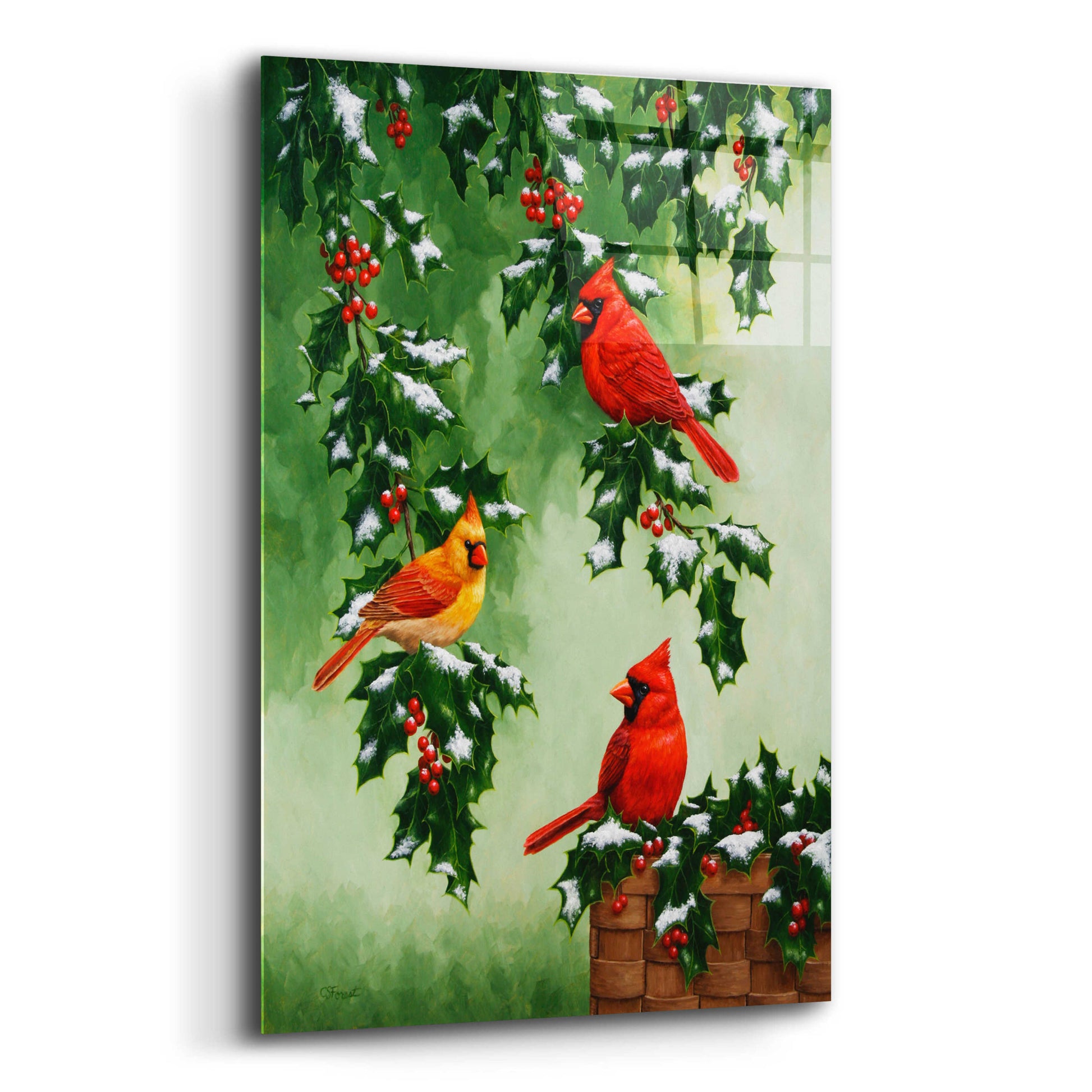 Epic Art 'Cardinals Hollies with Snow' by Crista Forest, Acrylic Glass Wall Art,12x16