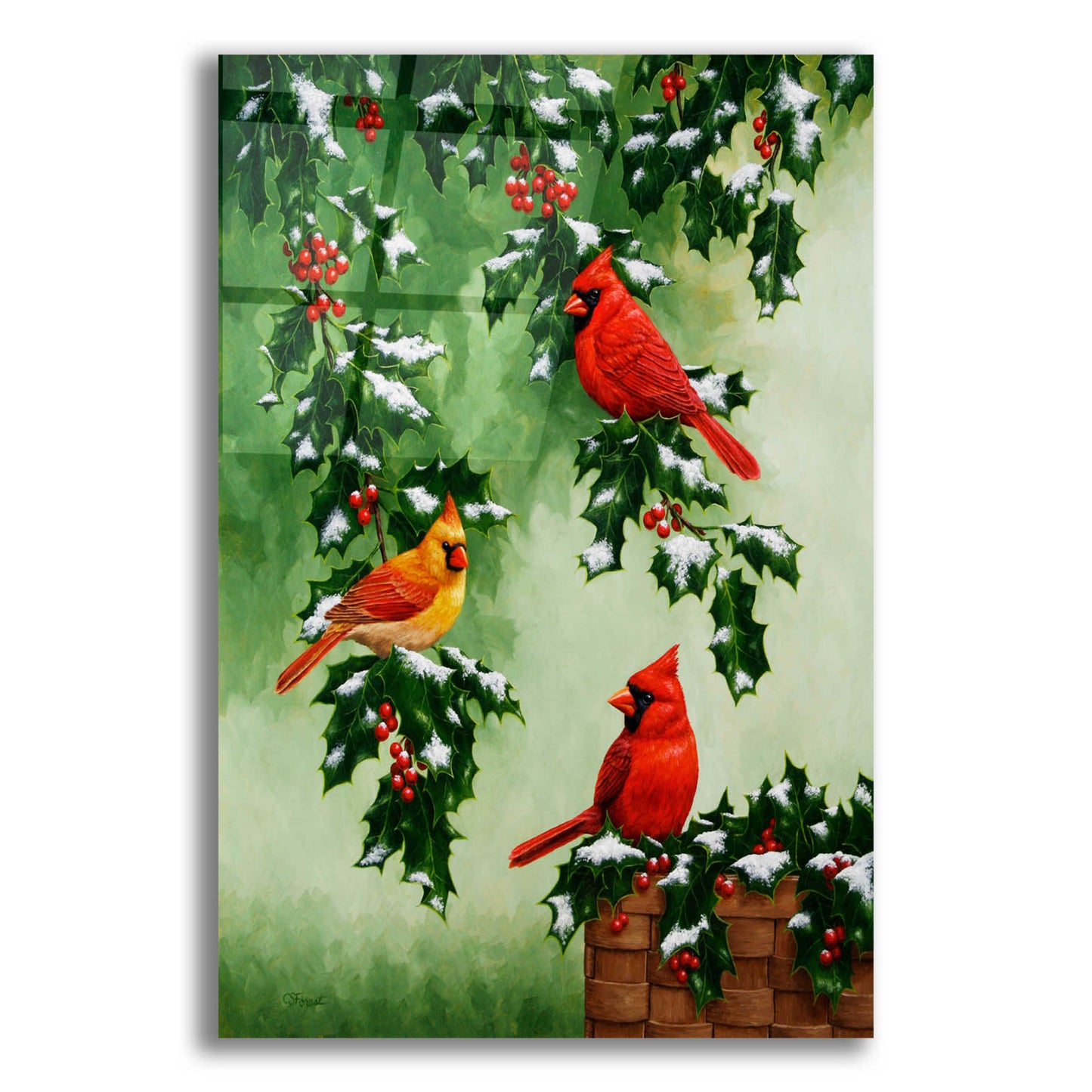 Epic Art 'Cardinals Hollies with Snow' by Crista Forest, Acrylic Glass Wall Art,16x24