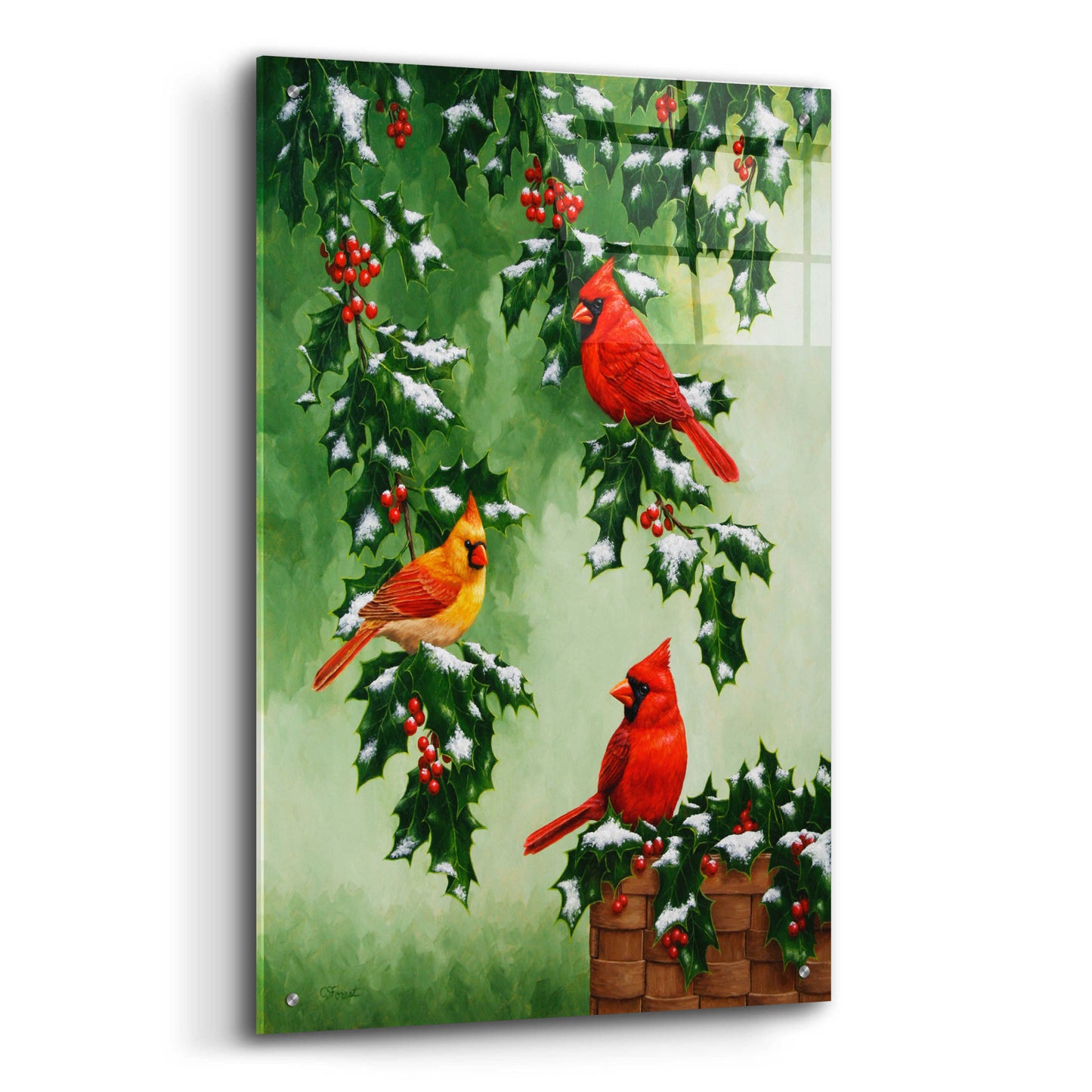 Epic Art 'Cardinals Hollies with Snow' by Crista Forest, Acrylic Glass Wall Art,24x36