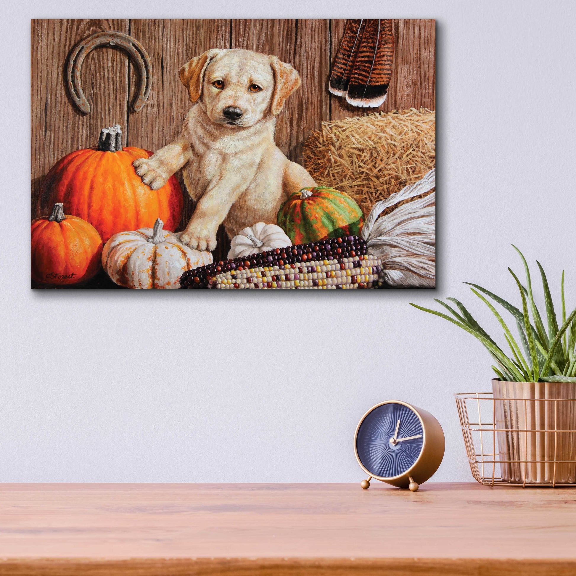 Epic Art 'Pumpkin Harvest Puppy' by Crista Forest, Acrylic Glass Wall Art,16x12