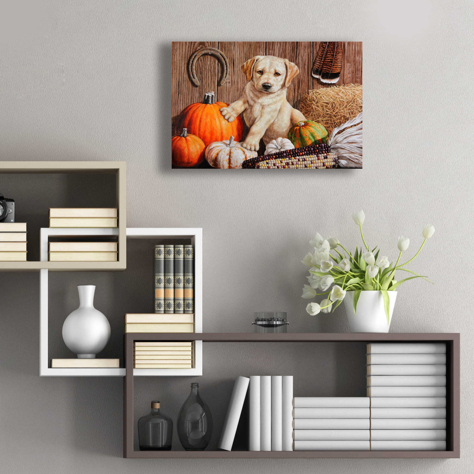 Epic Art 'Pumpkin Harvest Puppy' by Crista Forest, Acrylic Glass Wall Art,24x16