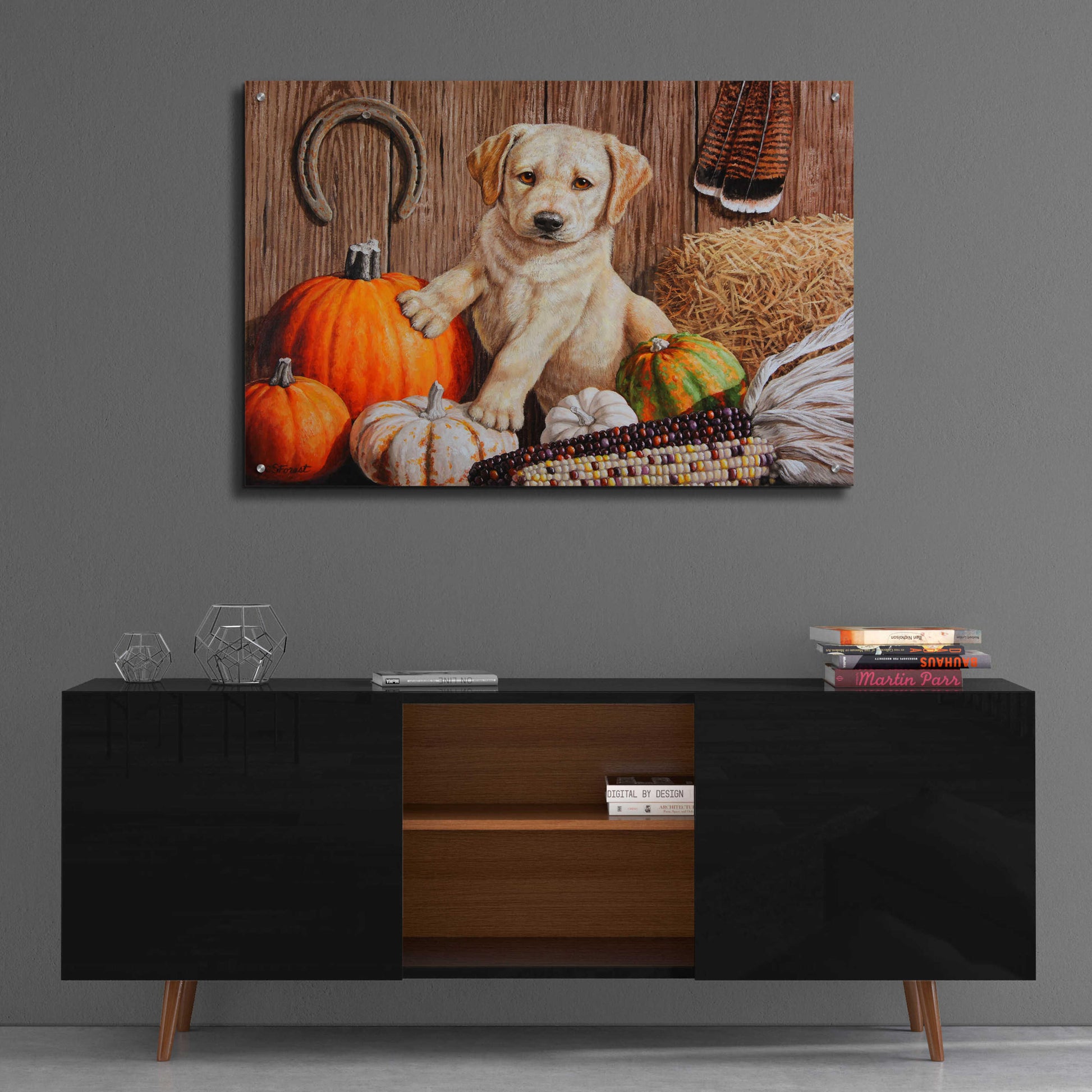 Epic Art 'Pumpkin Harvest Puppy' by Crista Forest, Acrylic Glass Wall Art,36x24