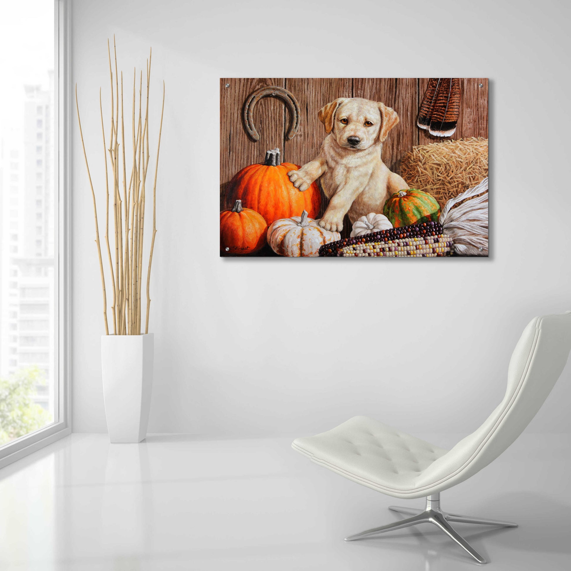 Epic Art 'Pumpkin Harvest Puppy' by Crista Forest, Acrylic Glass Wall Art,36x24