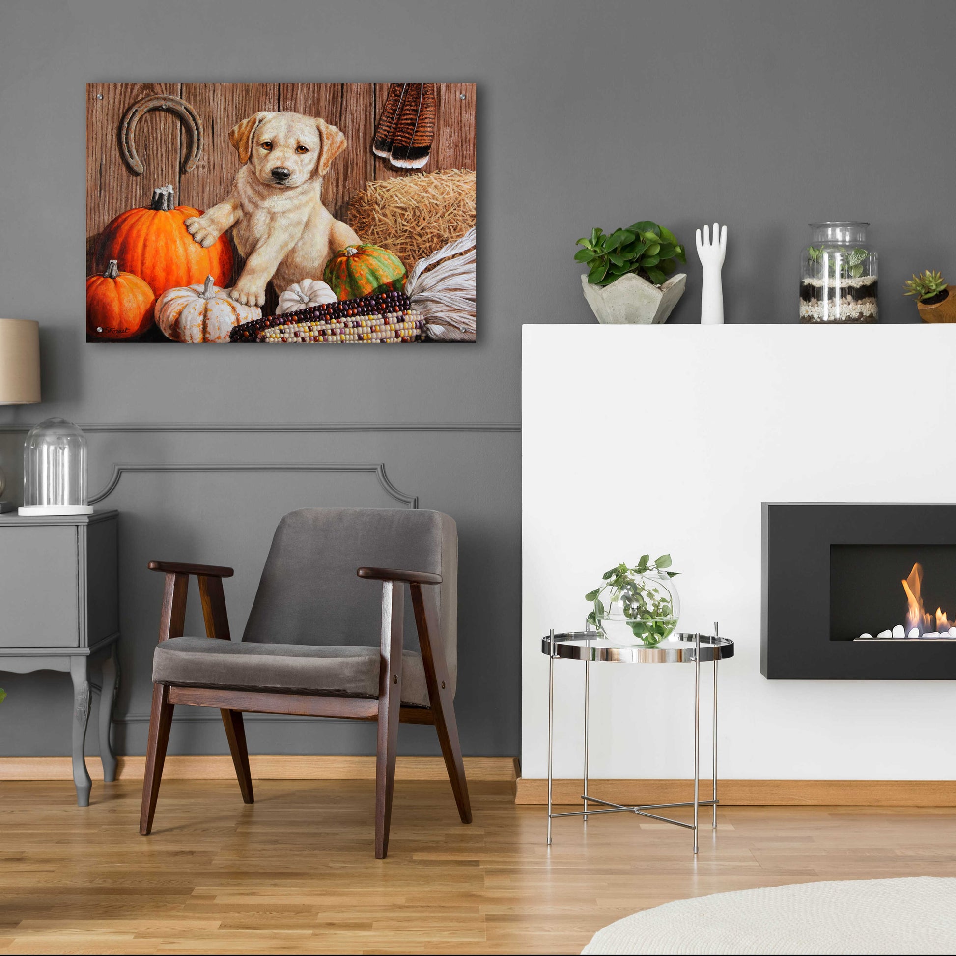 Epic Art 'Pumpkin Harvest Puppy' by Crista Forest, Acrylic Glass Wall Art,36x24