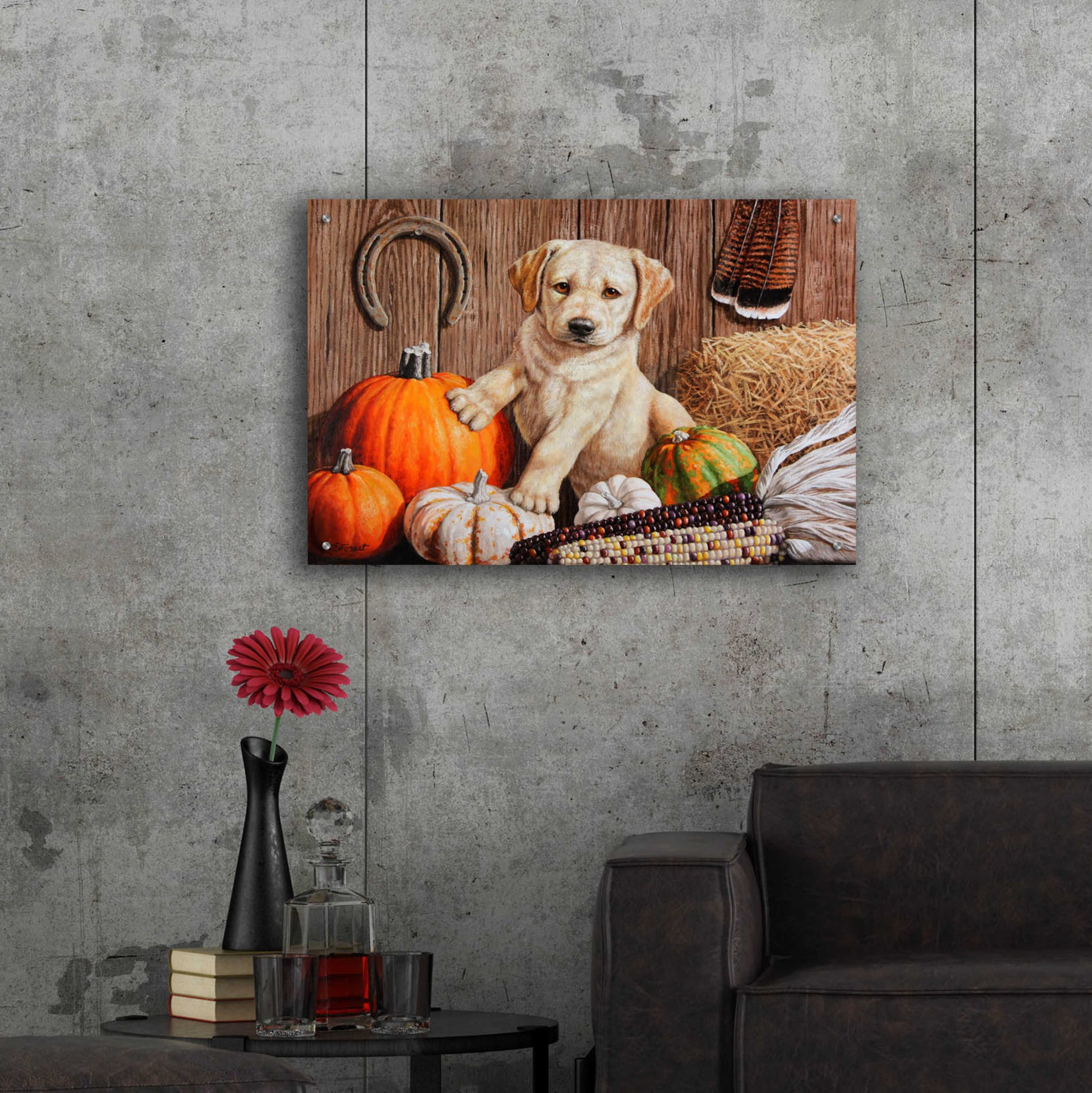 Epic Art 'Pumpkin Harvest Puppy' by Crista Forest, Acrylic Glass Wall Art,36x24