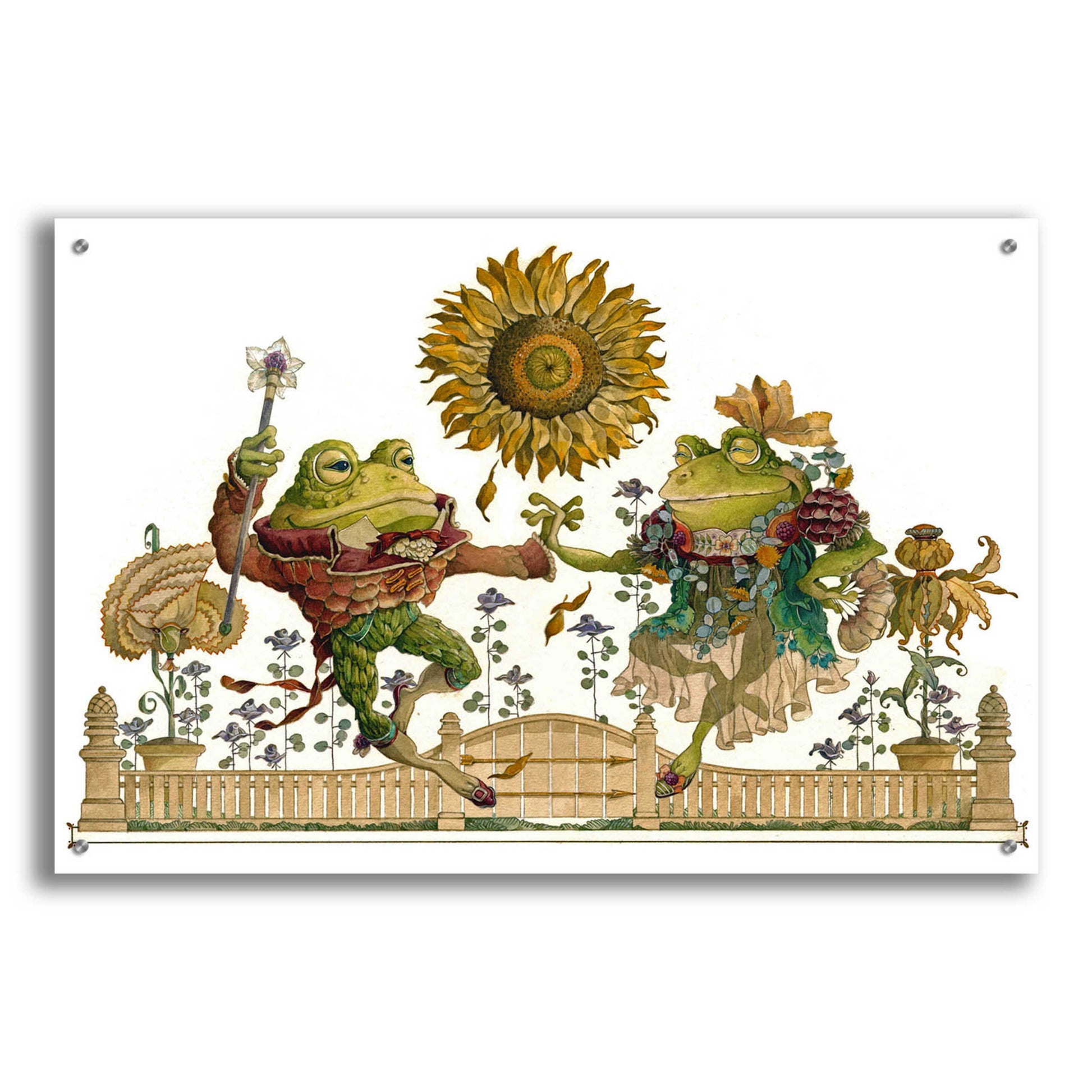 Epic Art 'Frog Gavotte' by David Galchutt, Acrylic Glass Wall Art,36x24