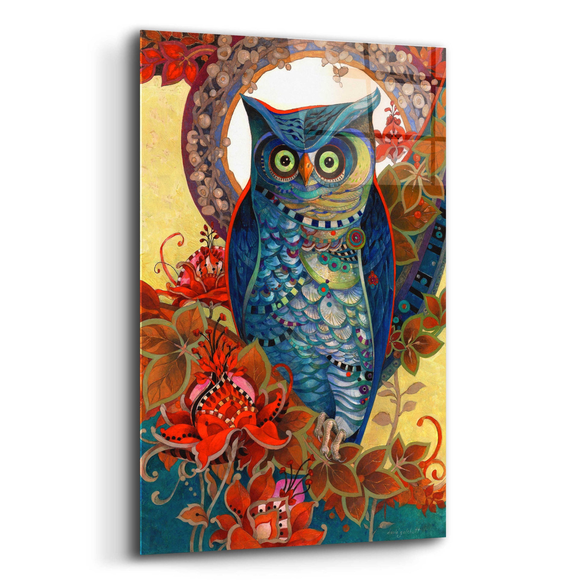 Epic Art 'Hoot' by David Galchutt, Acrylic Glass Wall Art,12x16