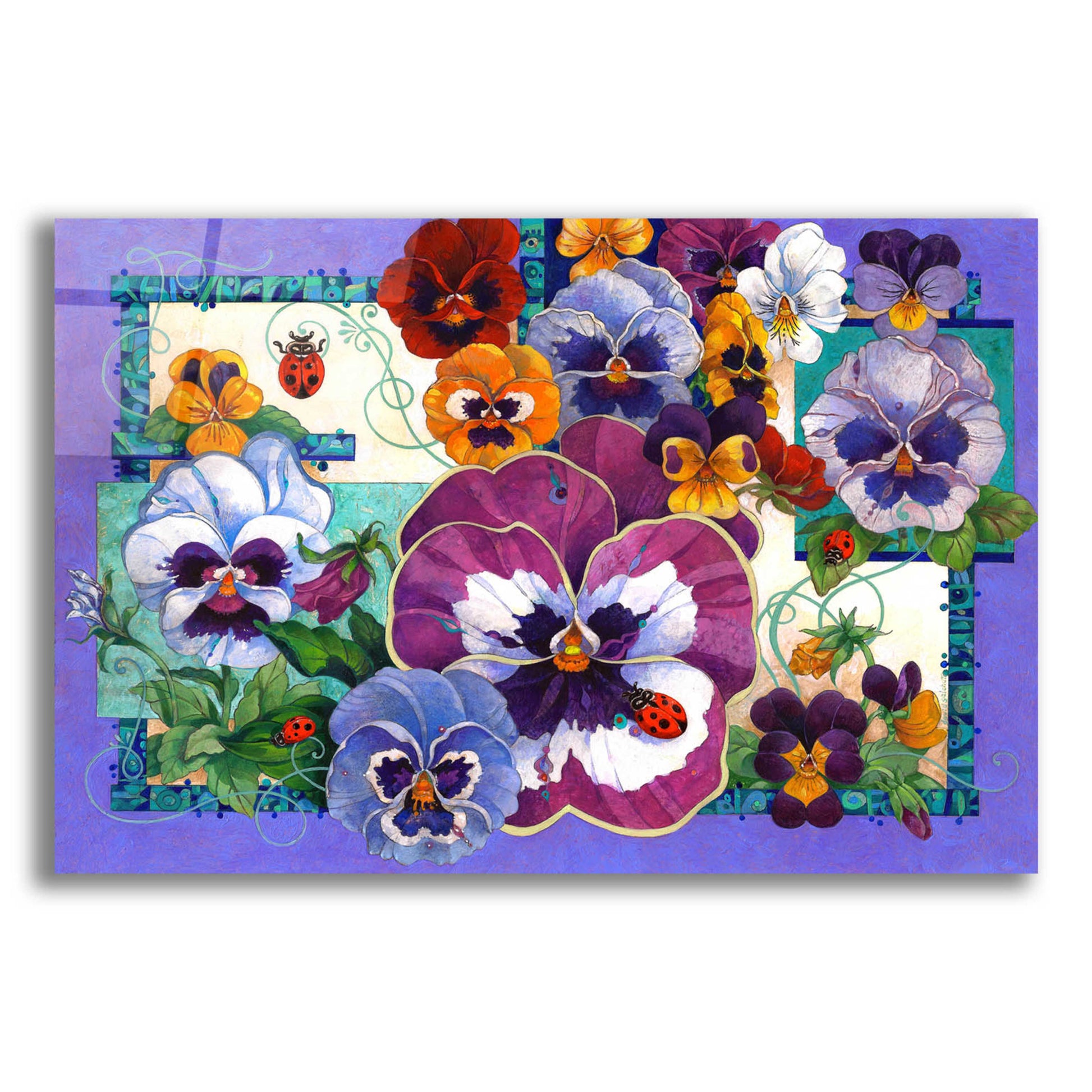 Epic Art 'Pansy Mania' by David Galchutt, Acrylic Glass Wall Art,16x12