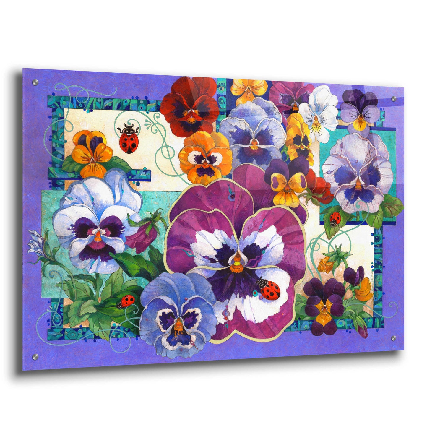 Epic Art 'Pansy Mania' by David Galchutt, Acrylic Glass Wall Art,36x24