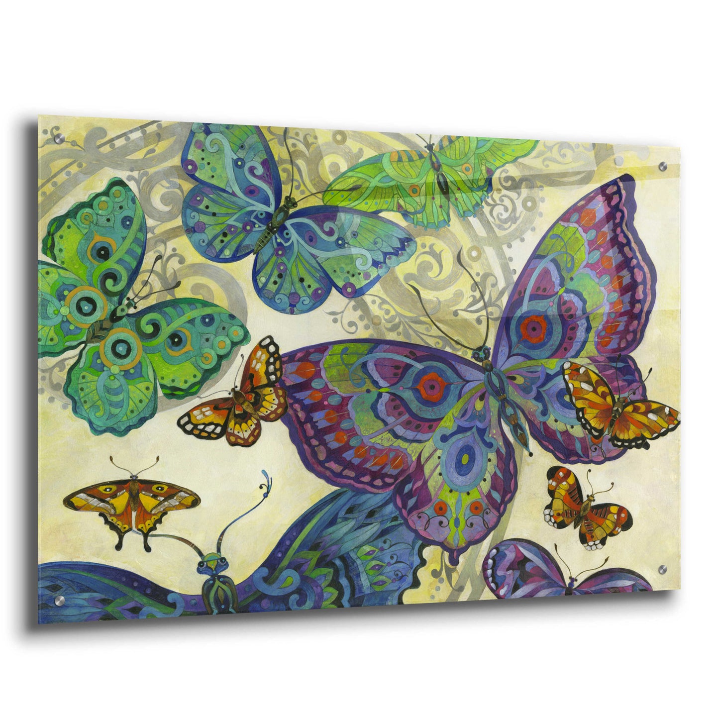 Epic Art 'Flutter Flock' by David Galchutt, Acrylic Glass Wall Art,36x24