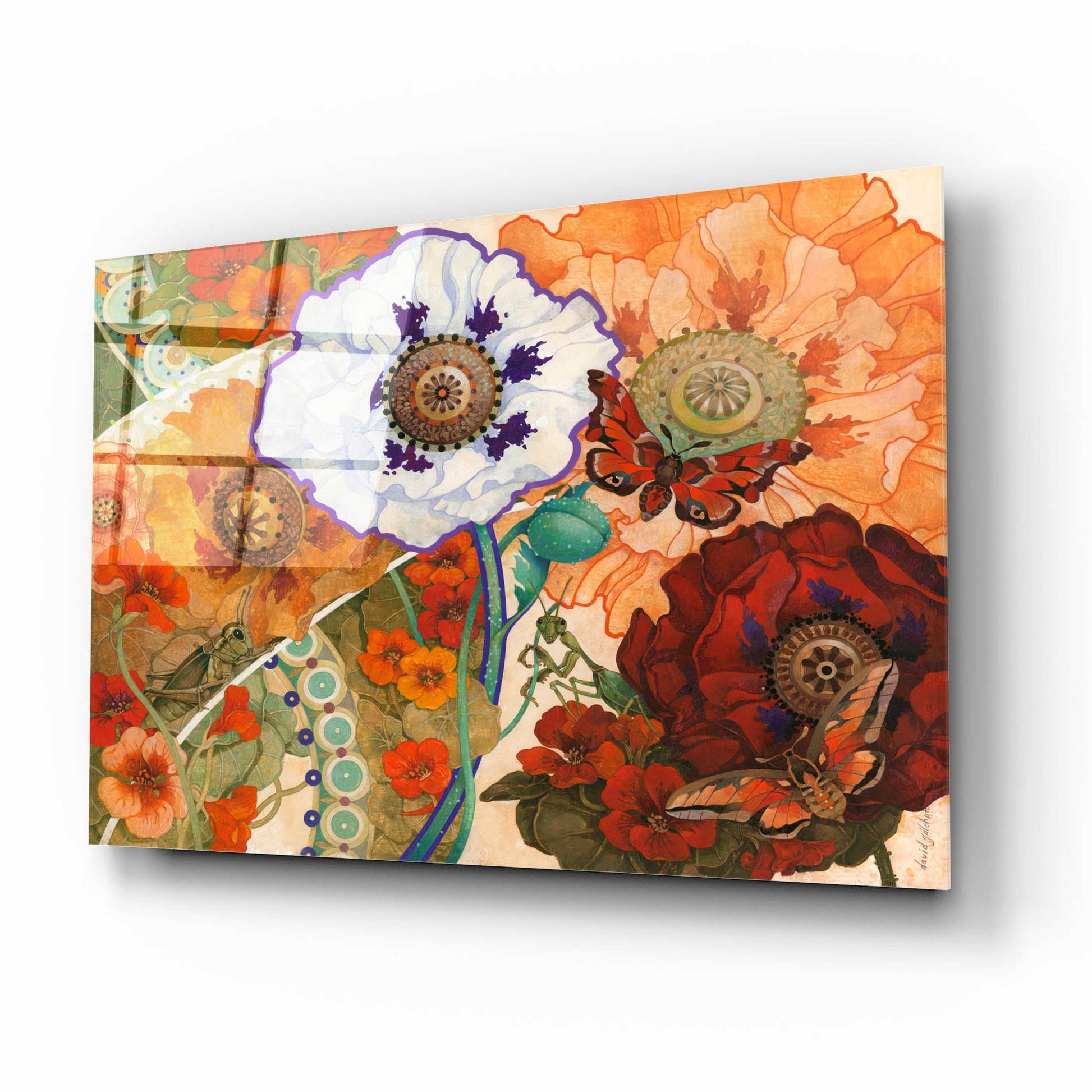 Epic Art 'Floral Tapestry' by David Galchutt, Acrylic Glass Wall Art,16x12