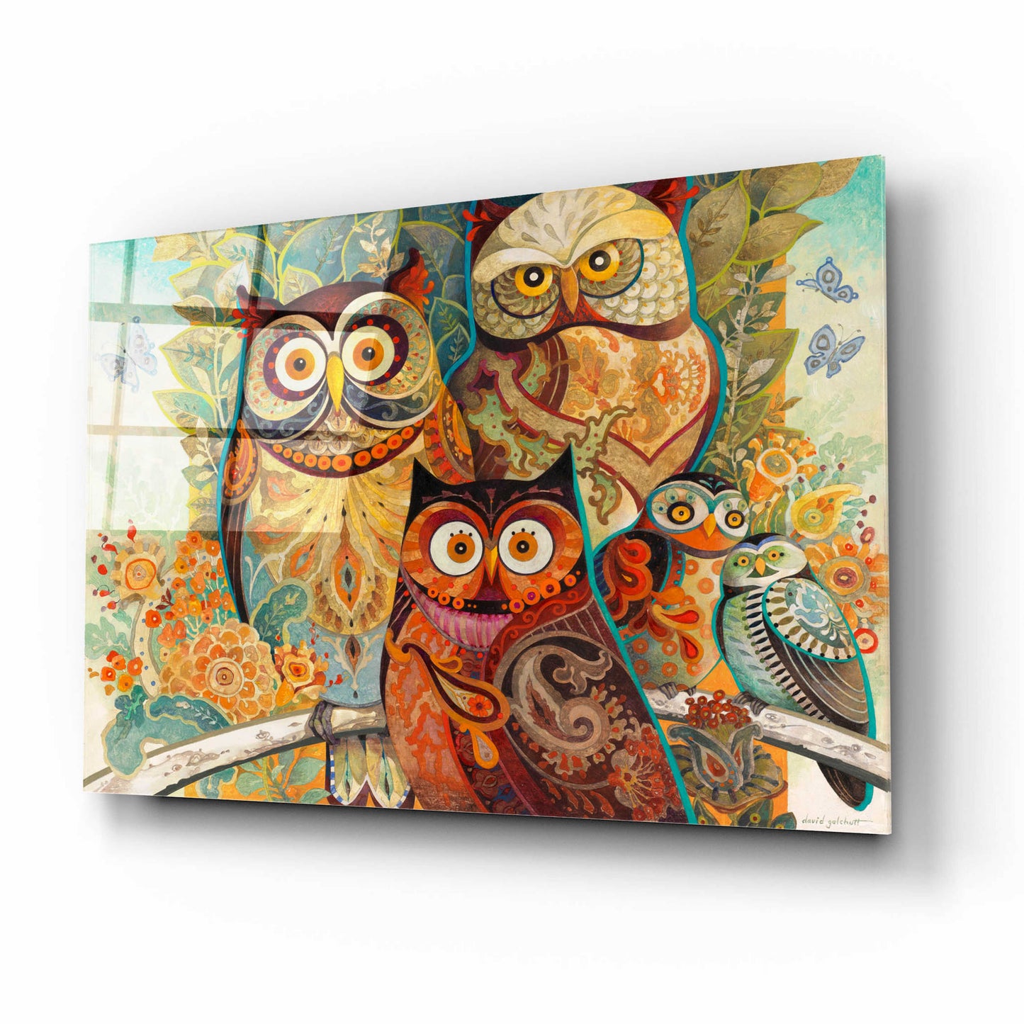 Epic Art 'Owls' by David Galchutt, Acrylic Glass Wall Art,16x12