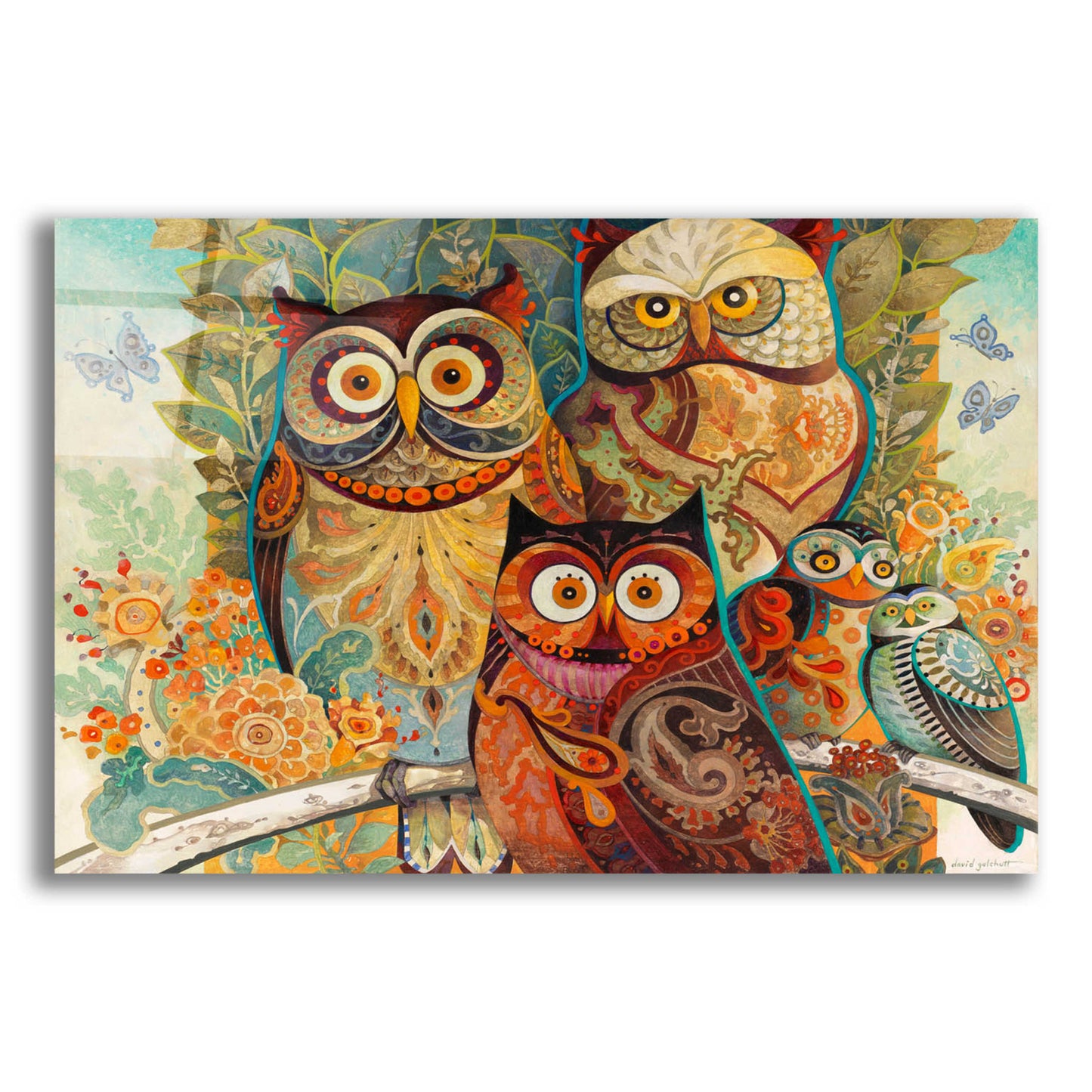 Epic Art 'Owls' by David Galchutt, Acrylic Glass Wall Art,16x12