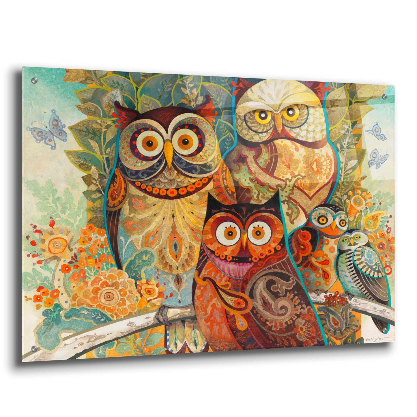 Epic Art 'Owls' by David Galchutt, Acrylic Glass Wall Art,36x24