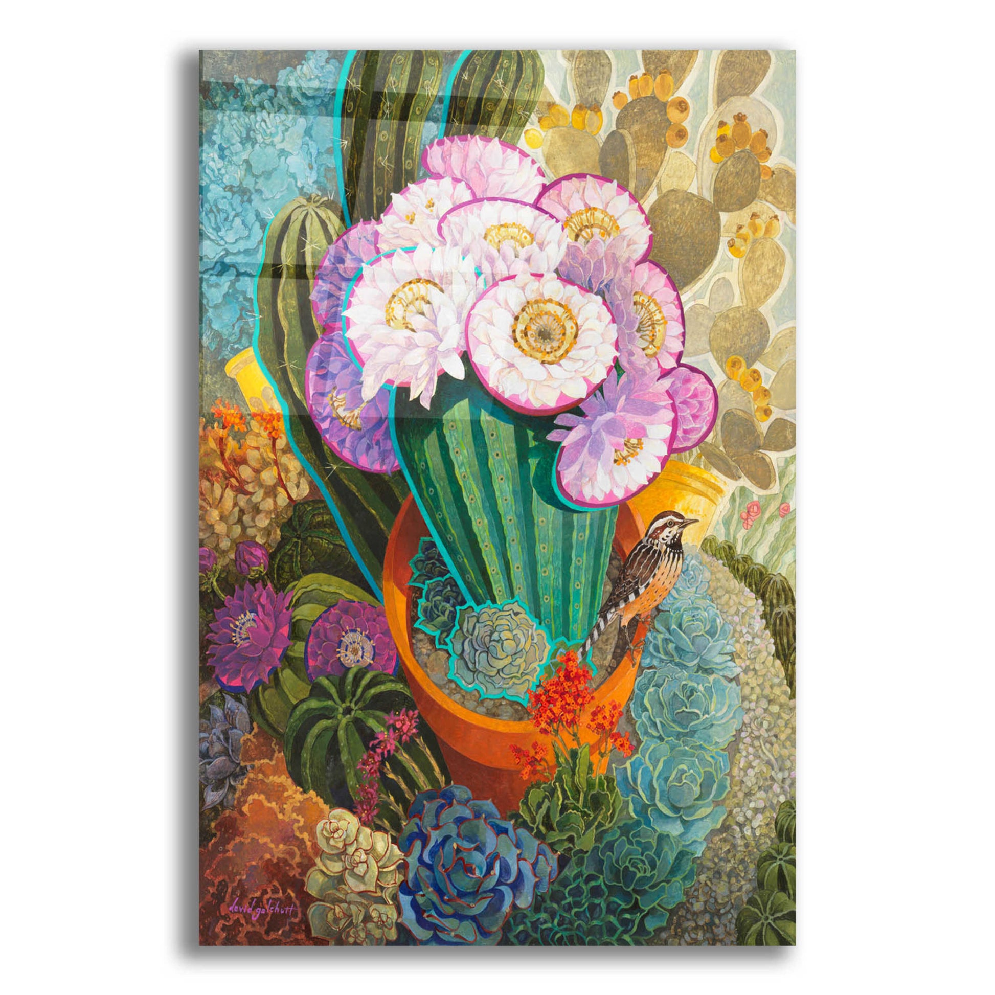 Epic Art 'The Prickly Garden' by David Galchutt, Acrylic Glass Wall Art,12x16