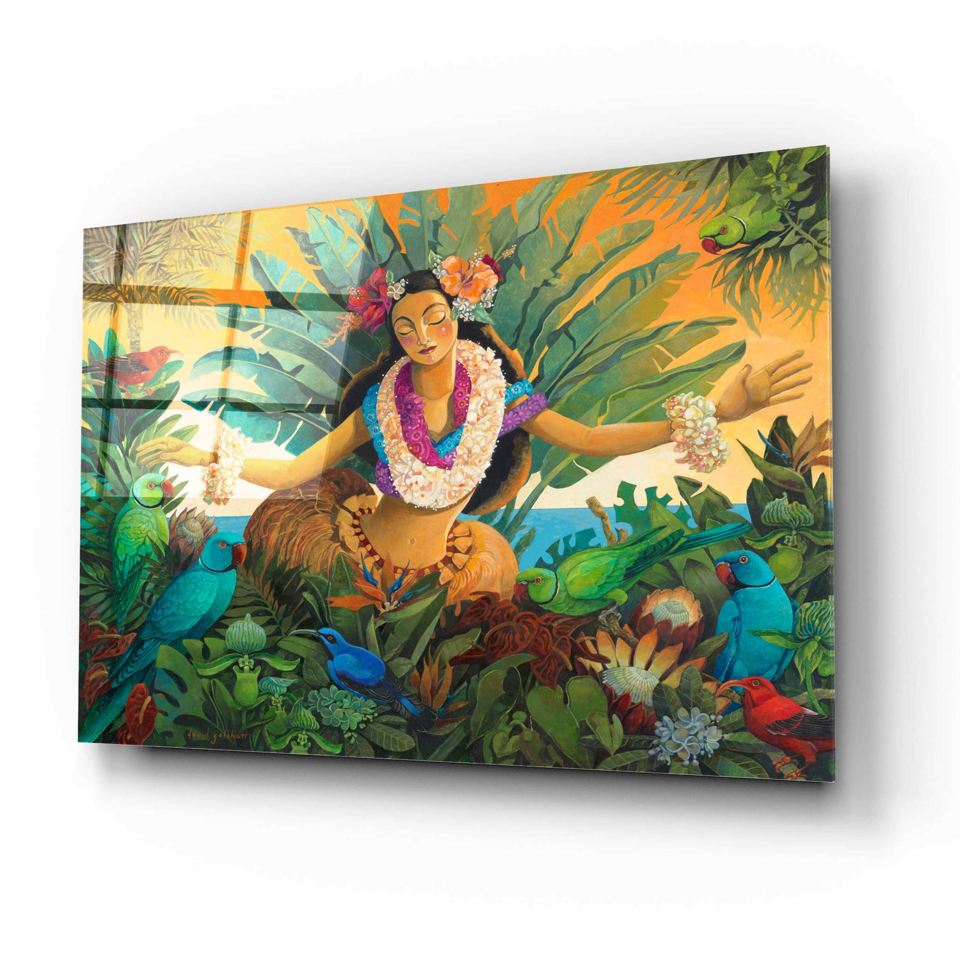 Epic Art 'Aloha' by David Galchutt, Acrylic Glass Wall Art,16x12