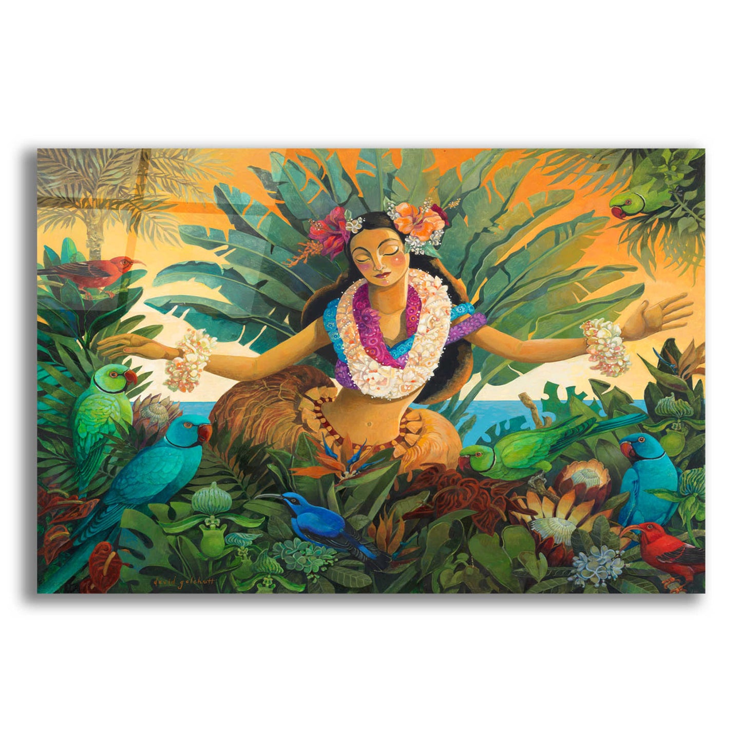 Epic Art 'Aloha' by David Galchutt, Acrylic Glass Wall Art,16x12