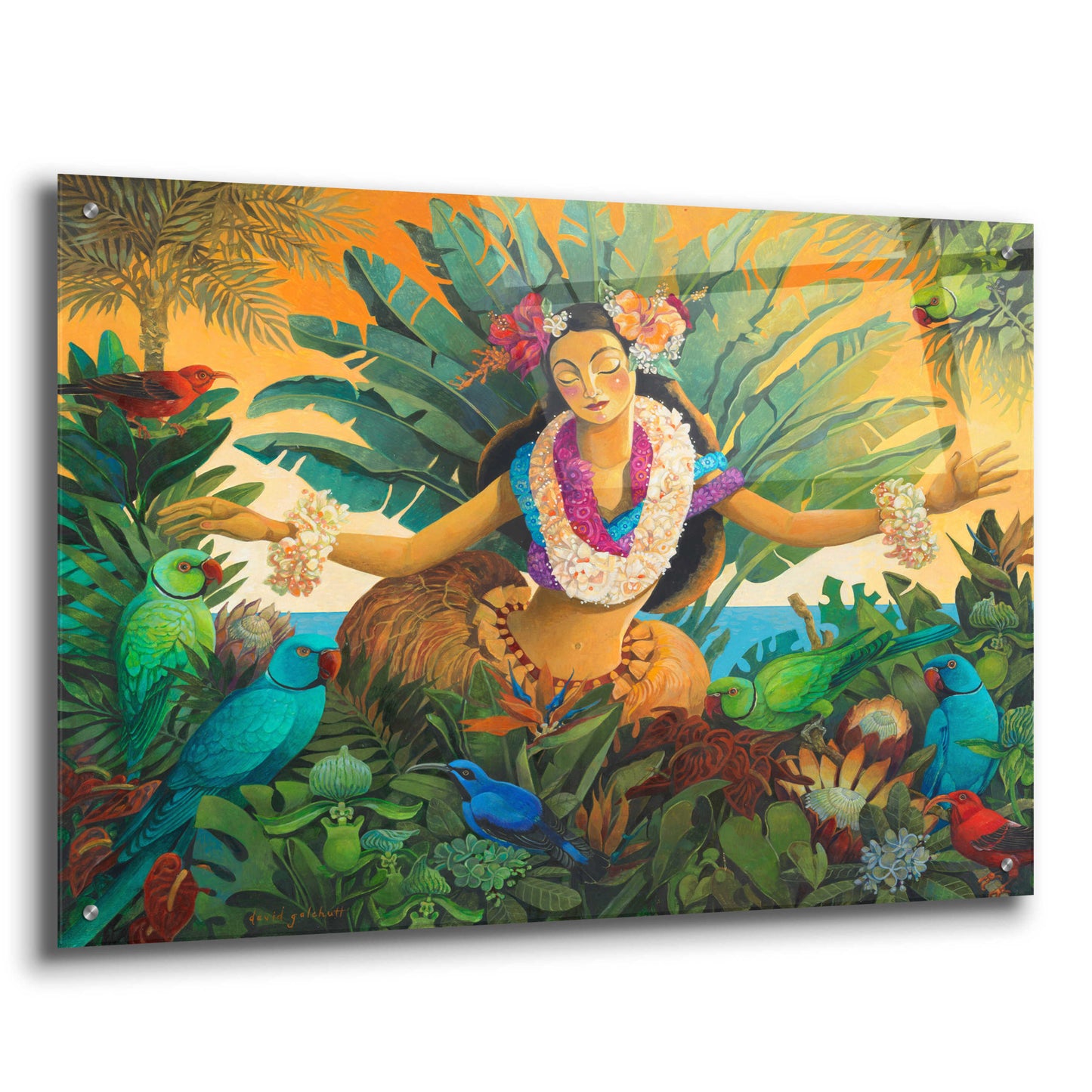 Epic Art 'Aloha' by David Galchutt, Acrylic Glass Wall Art,36x24