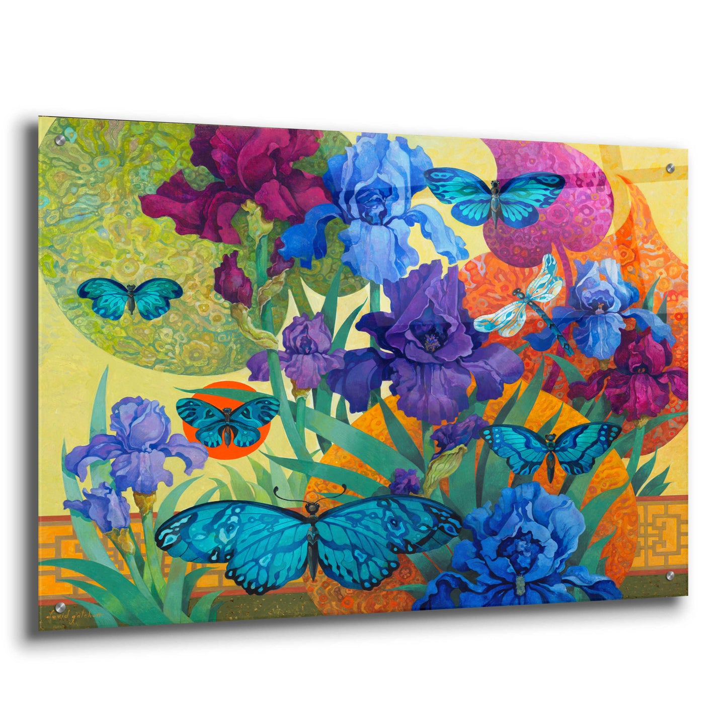 Epic Art 'Iris Garden' by David Galchutt, Acrylic Glass Wall Art,36x24