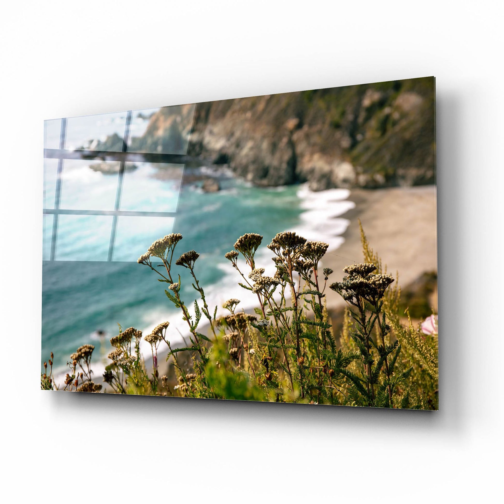 Epic Art 'California - Coast Grass' by Epic Portfolio, Acrylic Glass Wall Art,16x12