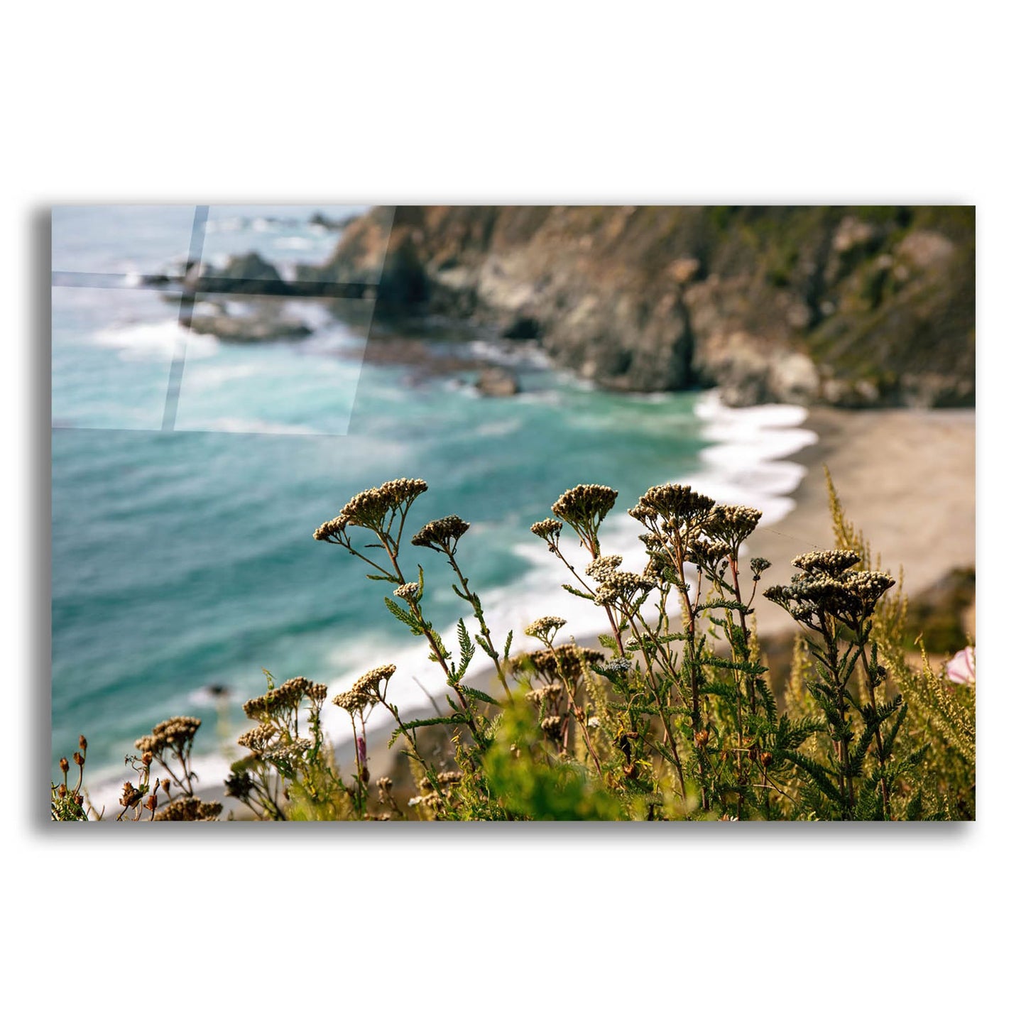 Epic Art 'California - Coast Grass' by Epic Portfolio, Acrylic Glass Wall Art,16x12