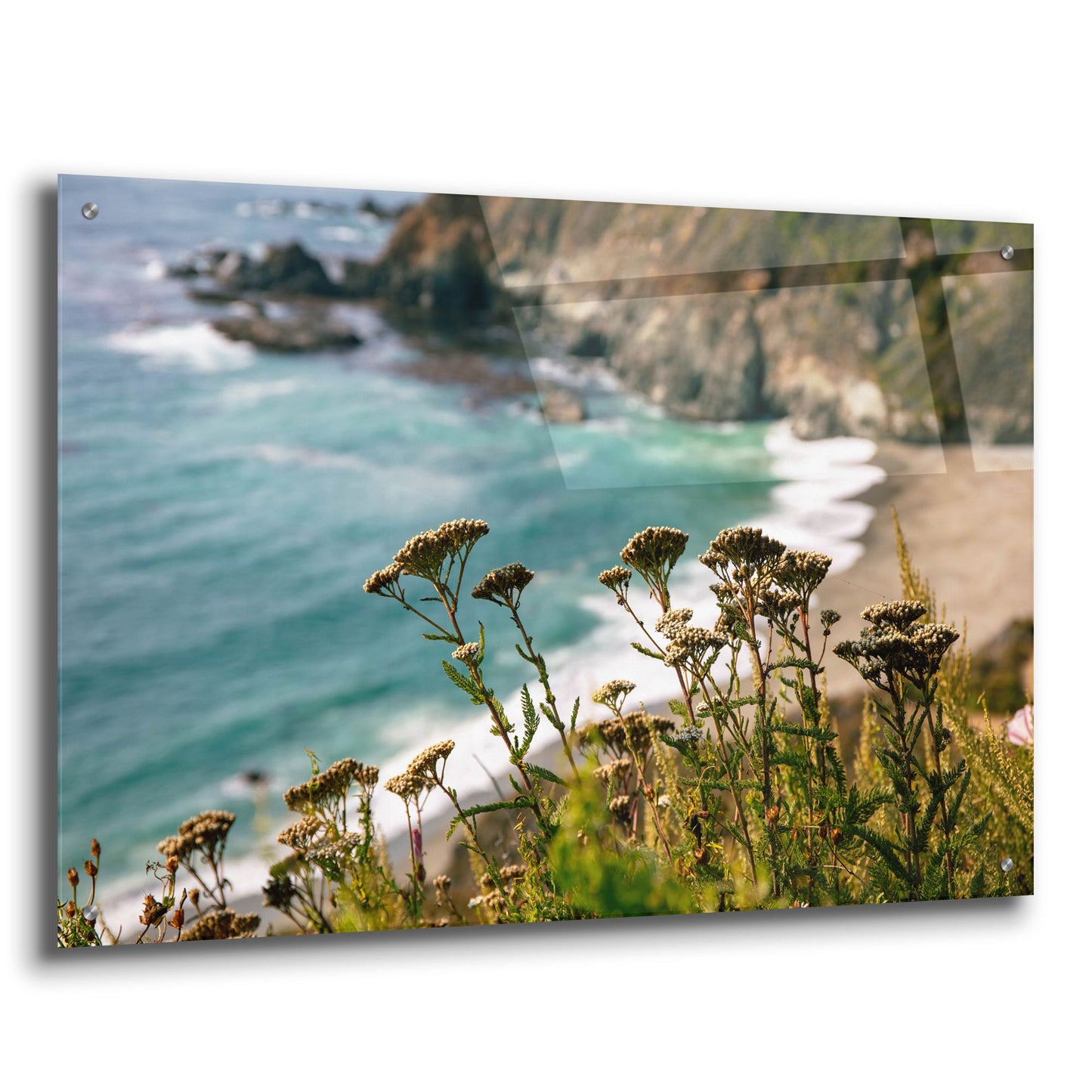 Epic Art 'California - Coast Grass' by Epic Portfolio, Acrylic Glass Wall Art,36x24