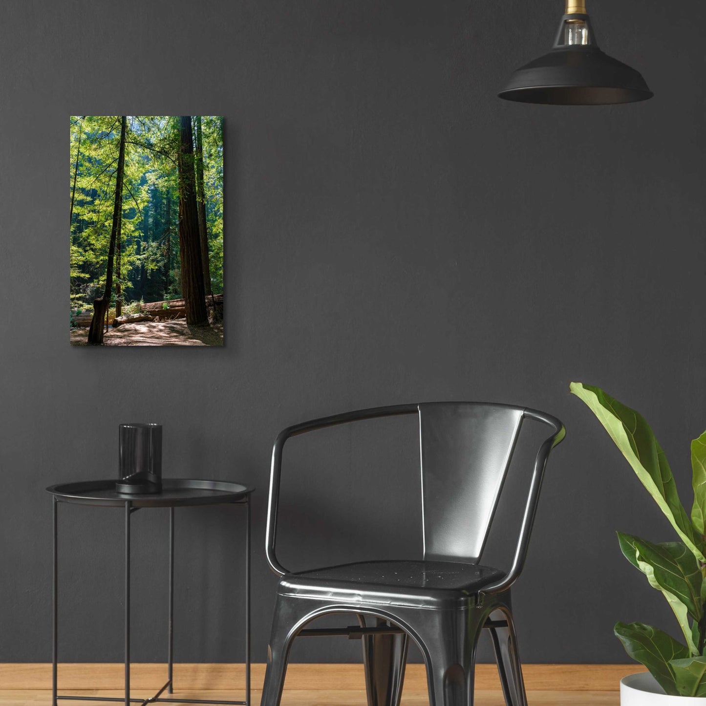 Epic Art 'Trees 3' by Epic Portfolio, Acrylic Glass Wall Art,16x24