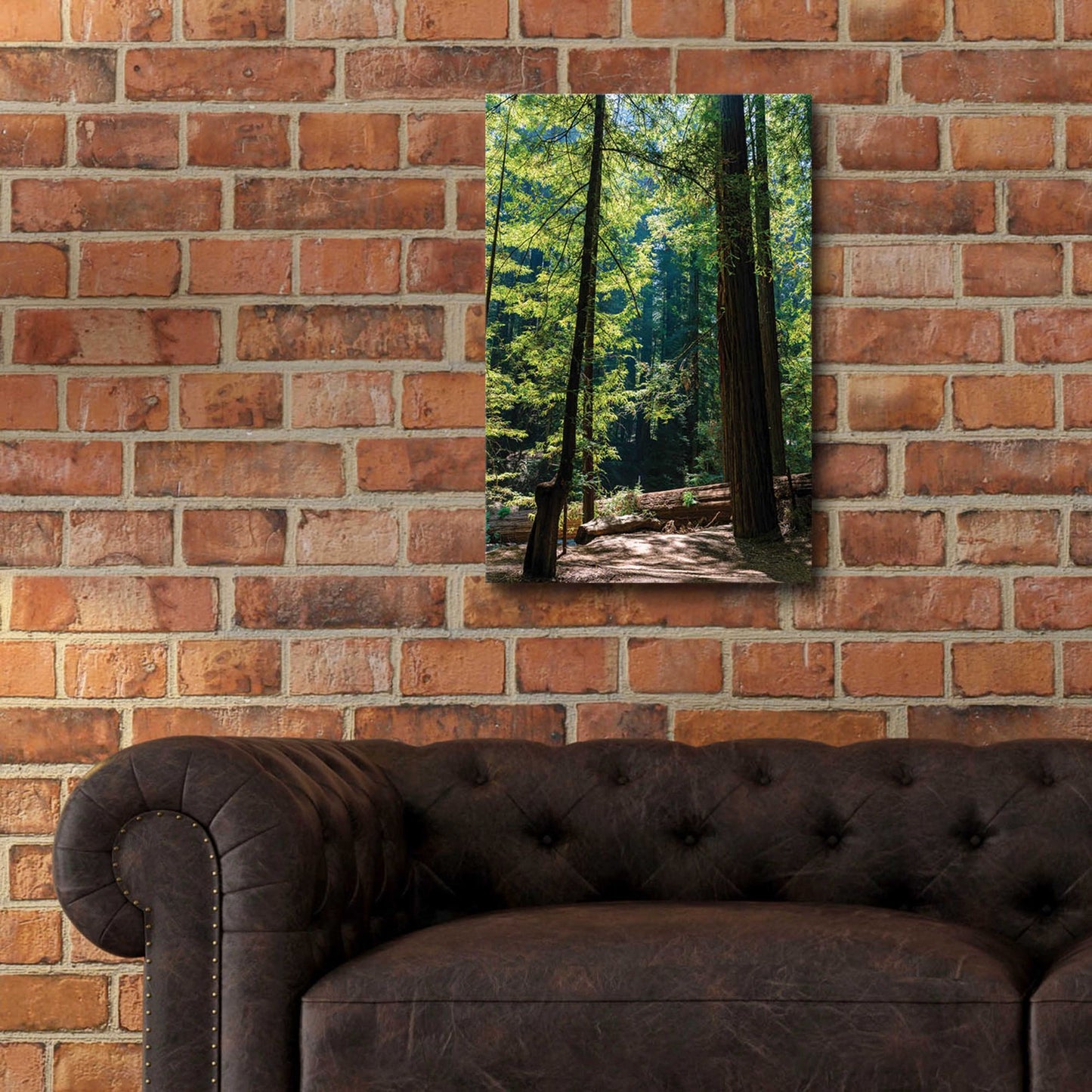 Epic Art 'Trees 3' by Epic Portfolio, Acrylic Glass Wall Art,16x24