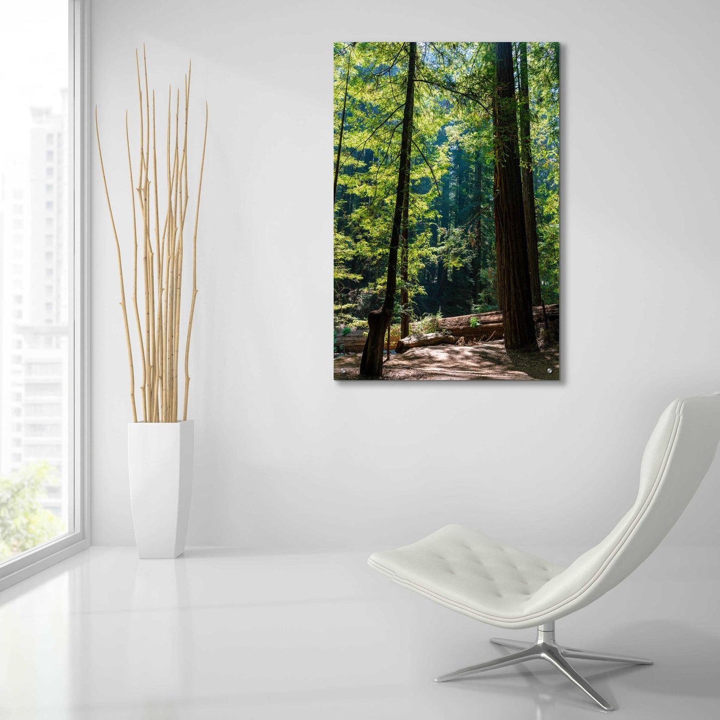 Epic Art 'Trees 3' by Epic Portfolio, Acrylic Glass Wall Art,24x36