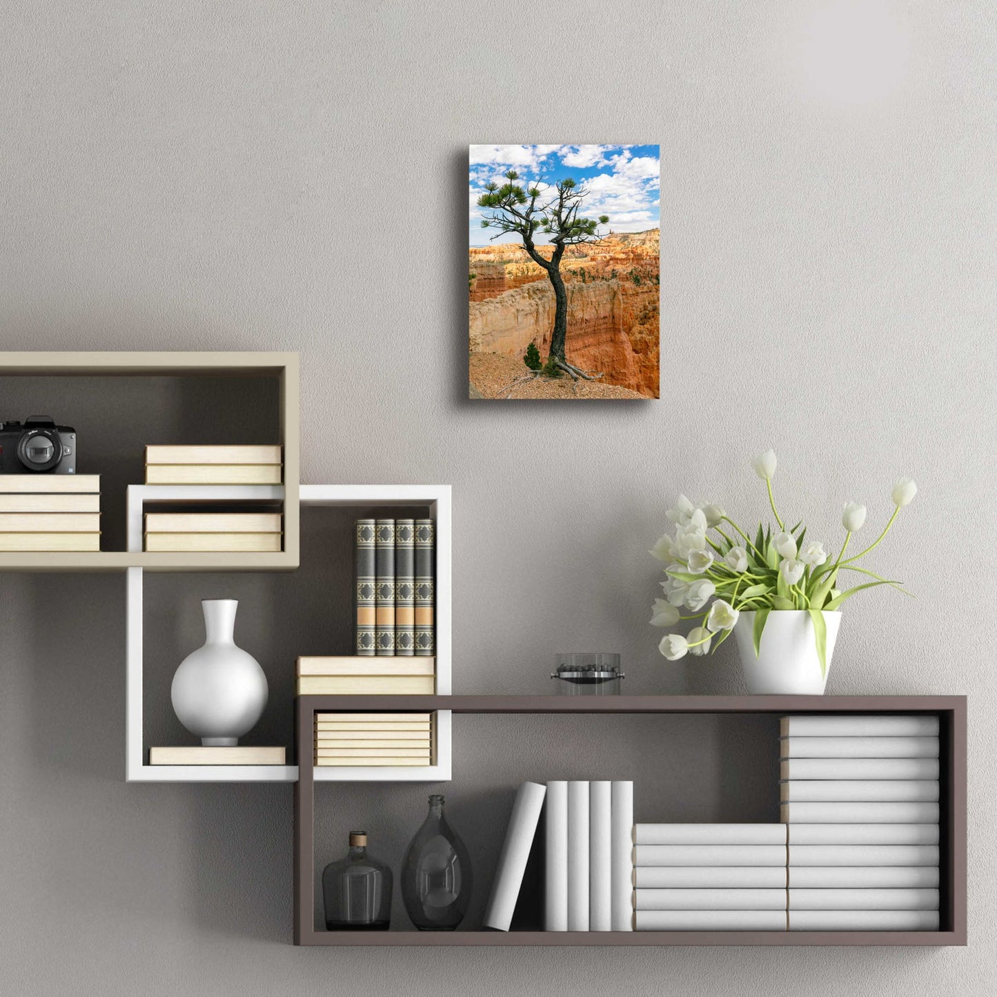 Epic Art 'Utah - Bryce Canyon Tree' by Epic Portfolio, Acrylic Glass Wall Art,12x16