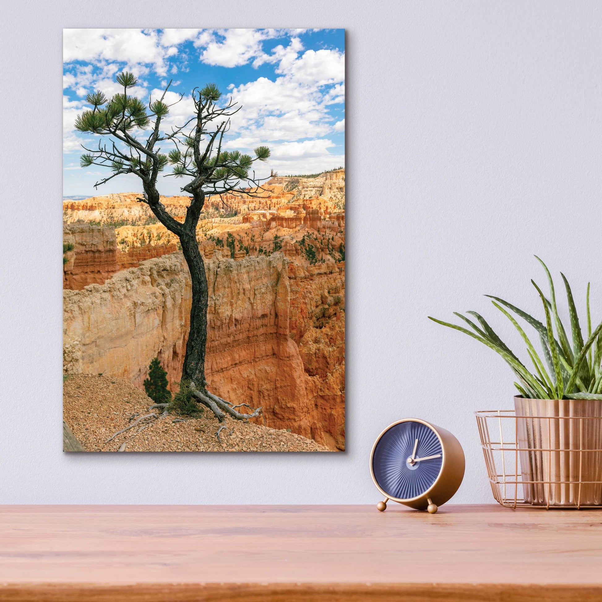 Epic Art 'Utah - Bryce Canyon Tree' by Epic Portfolio, Acrylic Glass Wall Art,12x16