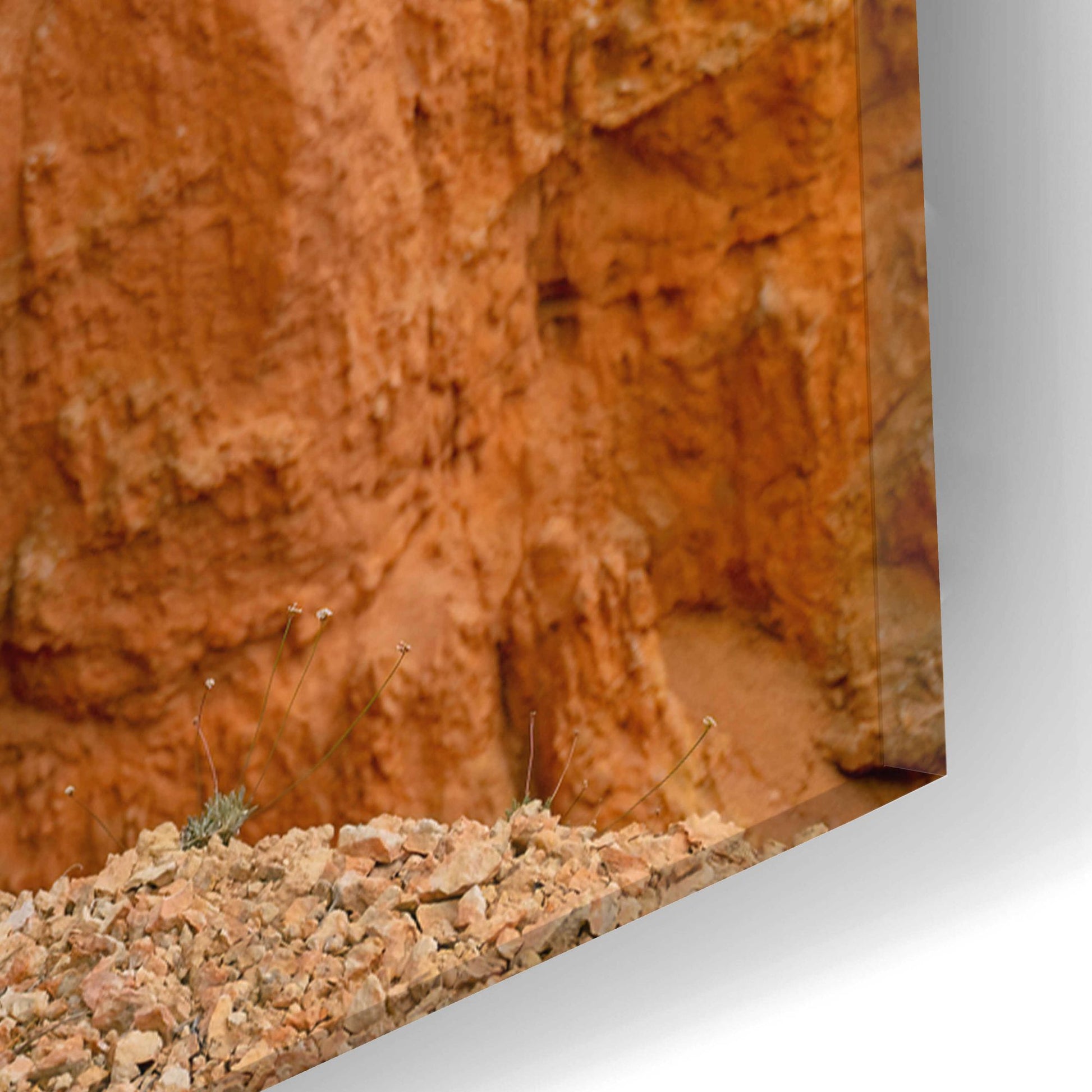 Epic Art 'Utah - Bryce Canyon Tree' by Epic Portfolio, Acrylic Glass Wall Art,16x24