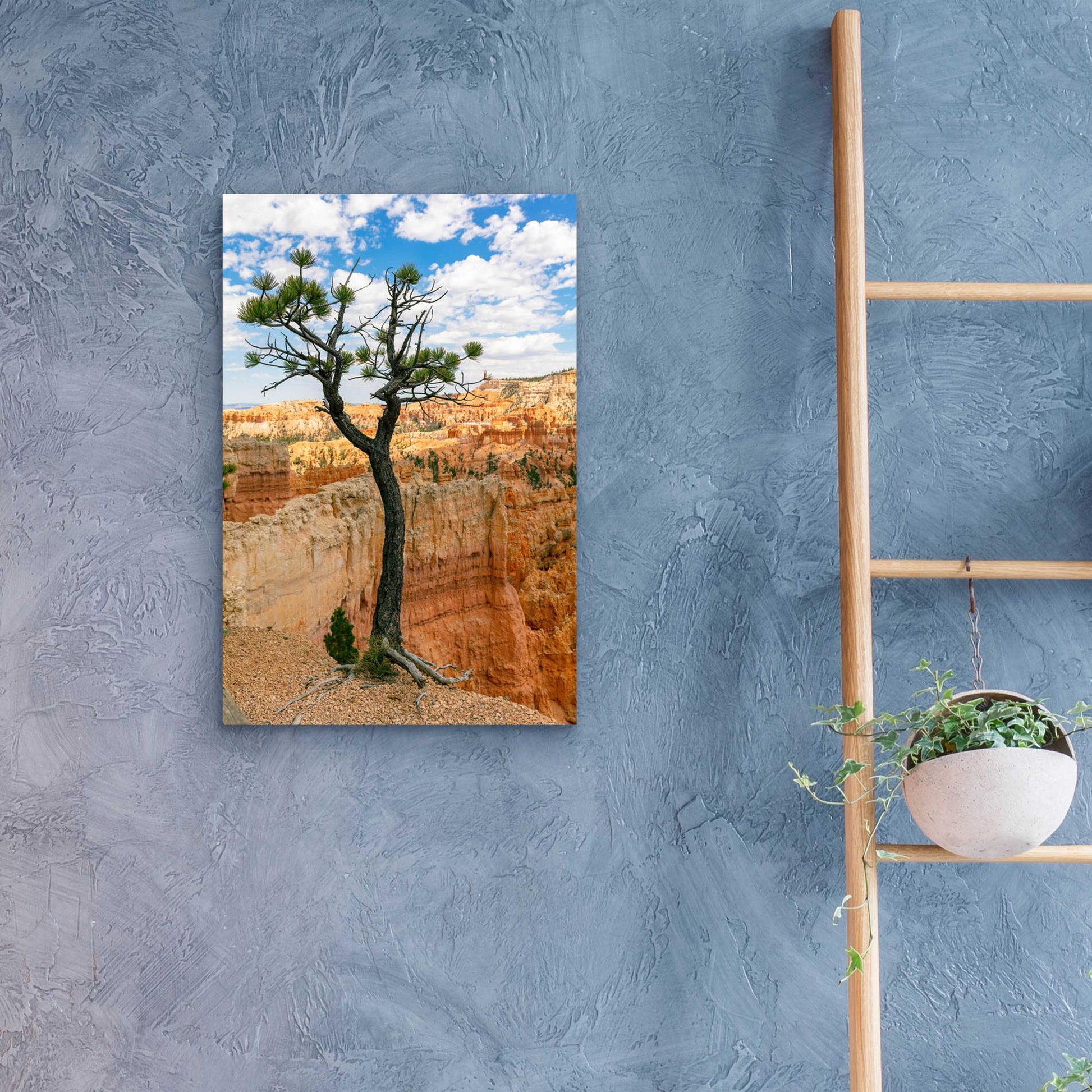 Epic Art 'Utah - Bryce Canyon Tree' by Epic Portfolio, Acrylic Glass Wall Art,16x24