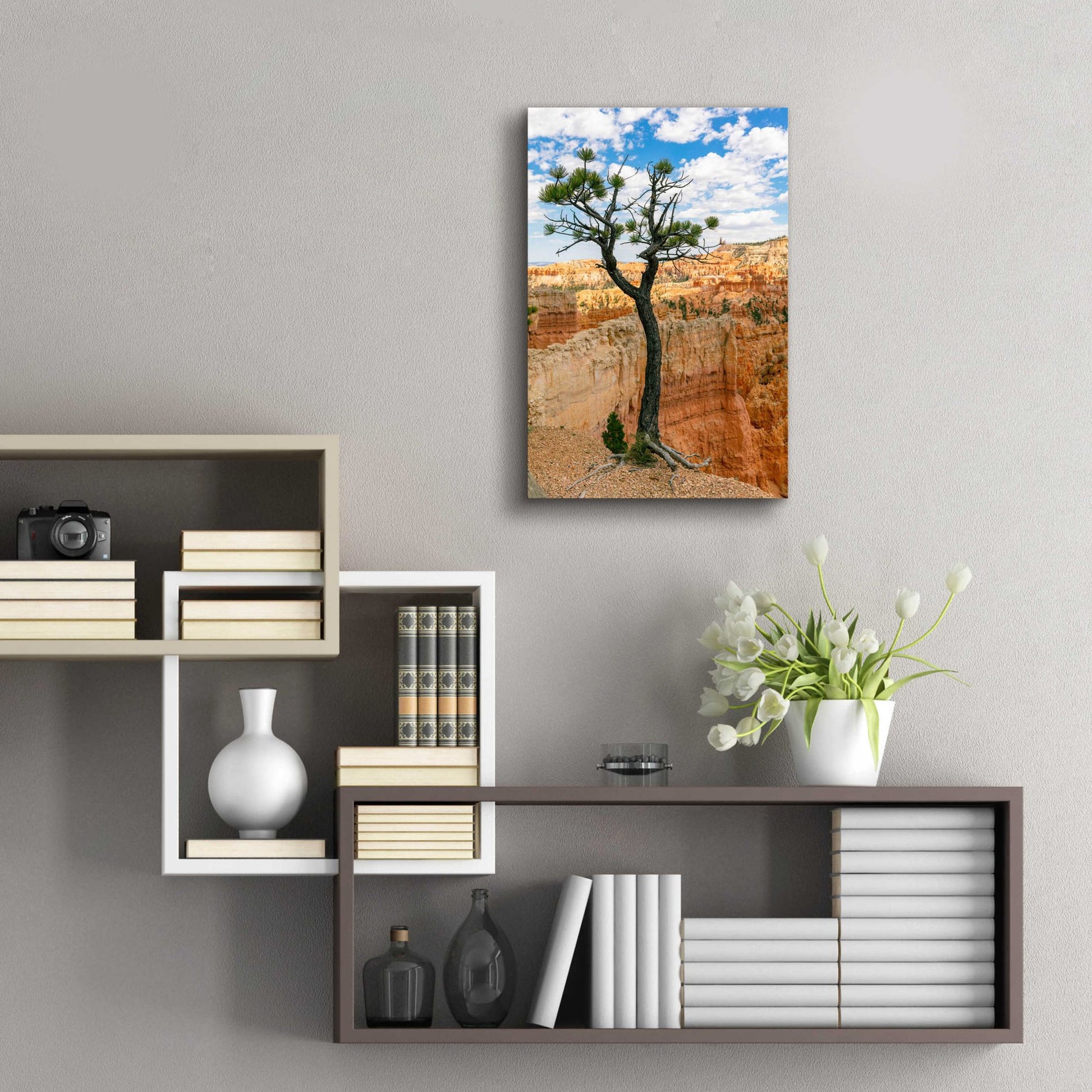 Epic Art 'Utah - Bryce Canyon Tree' by Epic Portfolio, Acrylic Glass Wall Art,16x24