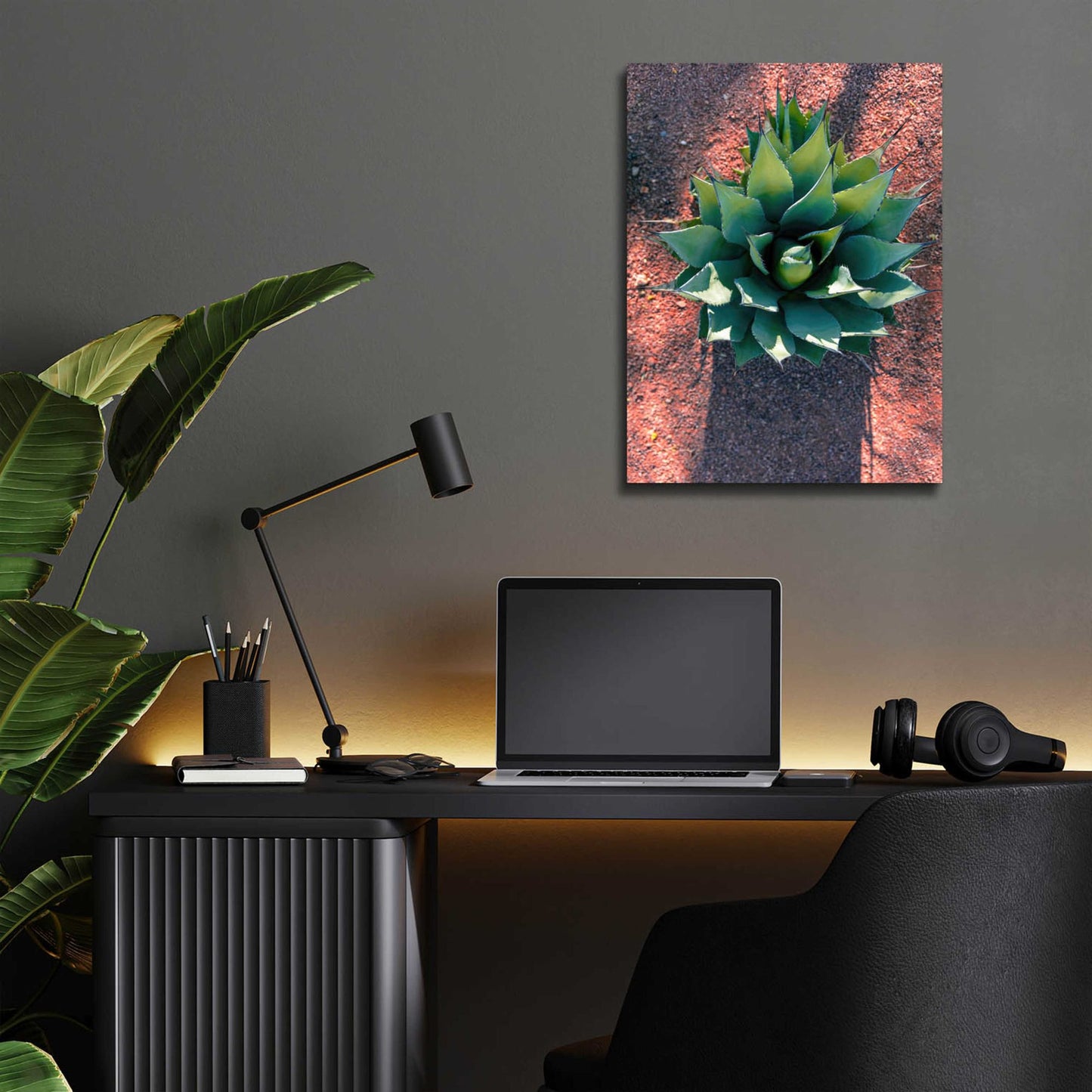 Epic Art 'Utah - Cactus 1' by Epic Portfolio, Acrylic Glass Wall Art,12x16