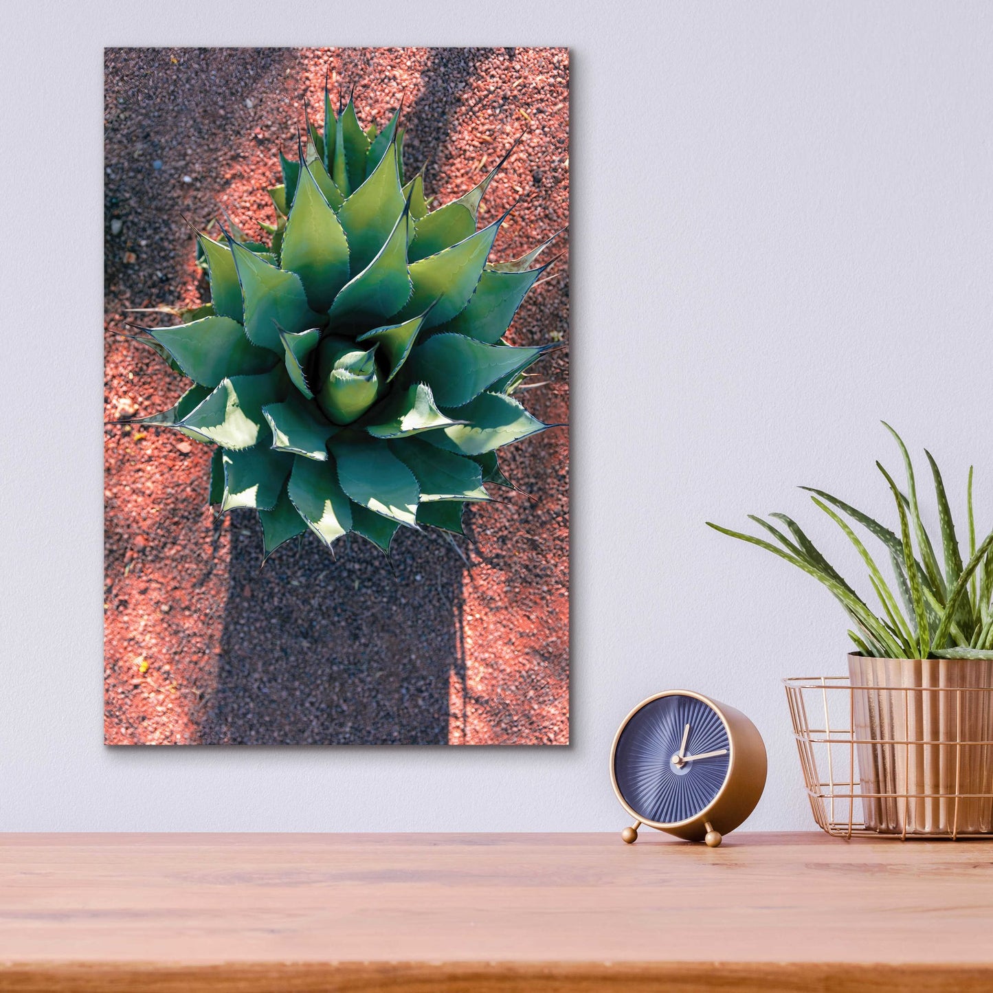 Epic Art 'Utah - Cactus 1' by Epic Portfolio, Acrylic Glass Wall Art,12x16