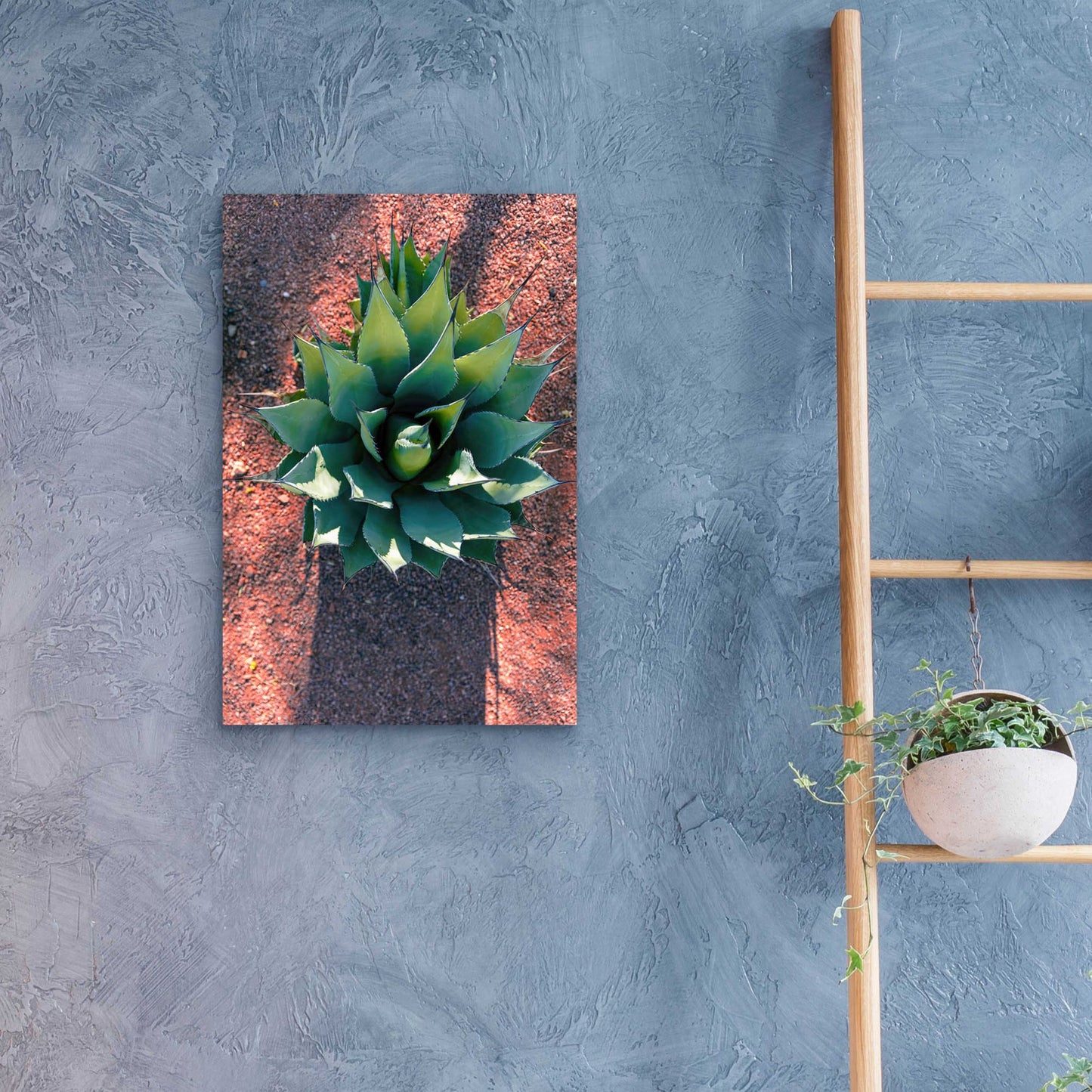 Epic Art 'Utah - Cactus 1' by Epic Portfolio, Acrylic Glass Wall Art,16x24