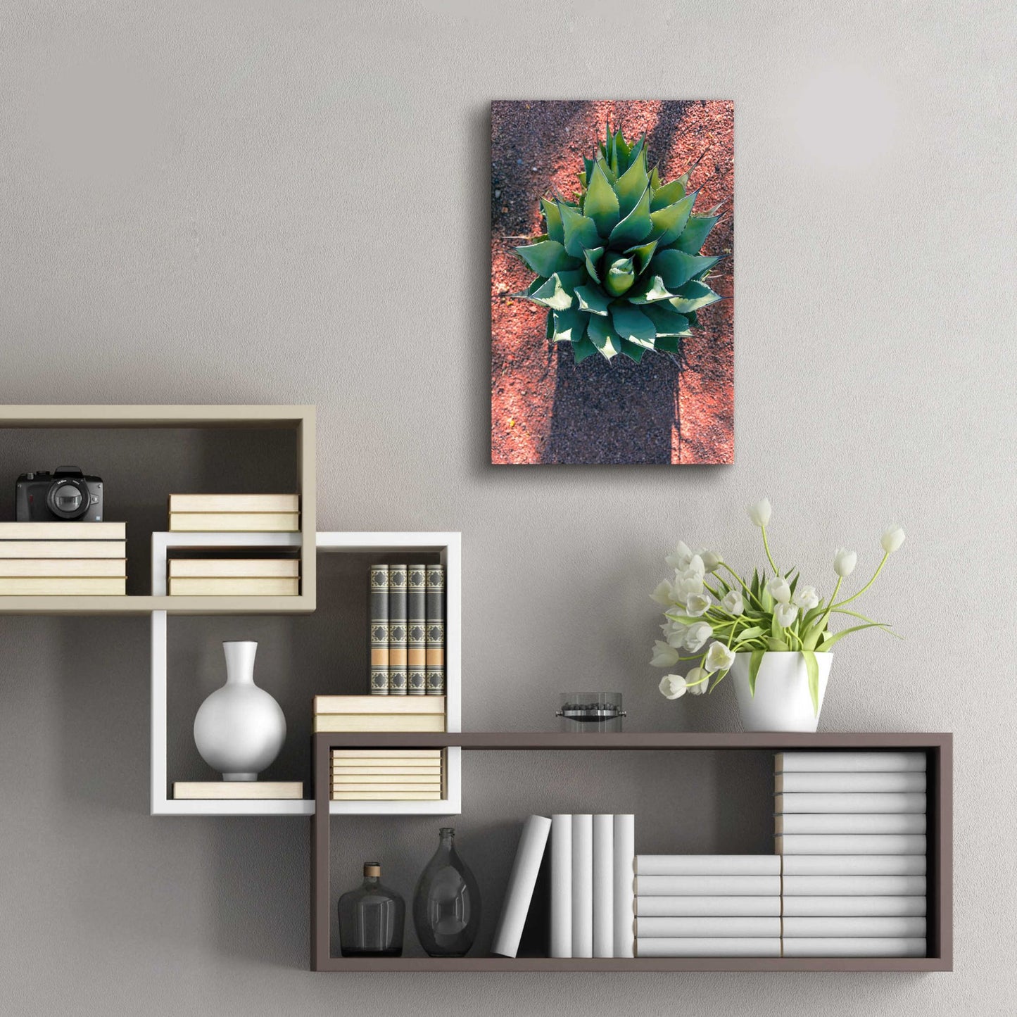 Epic Art 'Utah - Cactus 1' by Epic Portfolio, Acrylic Glass Wall Art,16x24