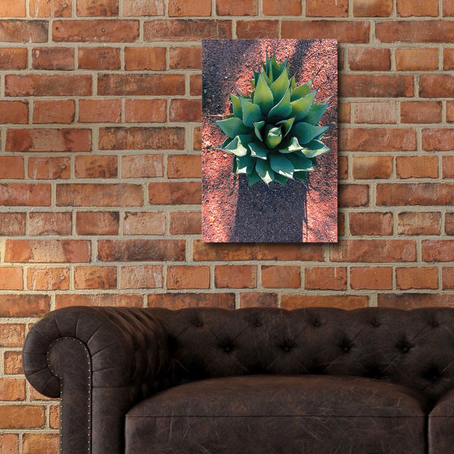 Epic Art 'Utah - Cactus 1' by Epic Portfolio, Acrylic Glass Wall Art,16x24