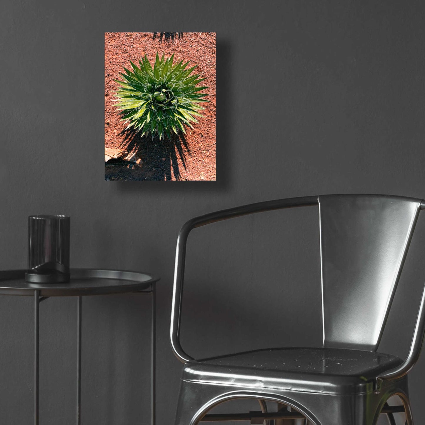 Epic Art 'Utah - Cactus 2' by Epic Portfolio, Acrylic Glass Wall Art,12x16