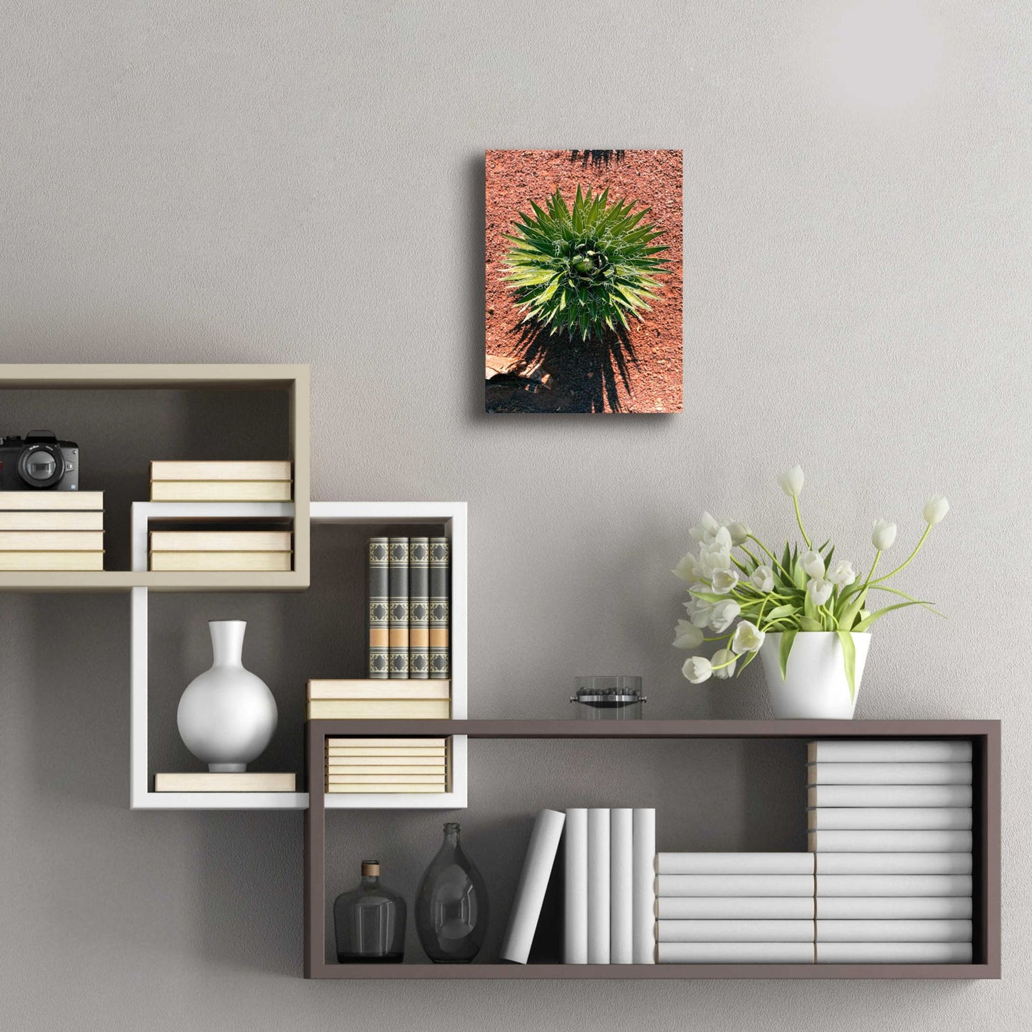 Epic Art 'Utah - Cactus 2' by Epic Portfolio, Acrylic Glass Wall Art,12x16