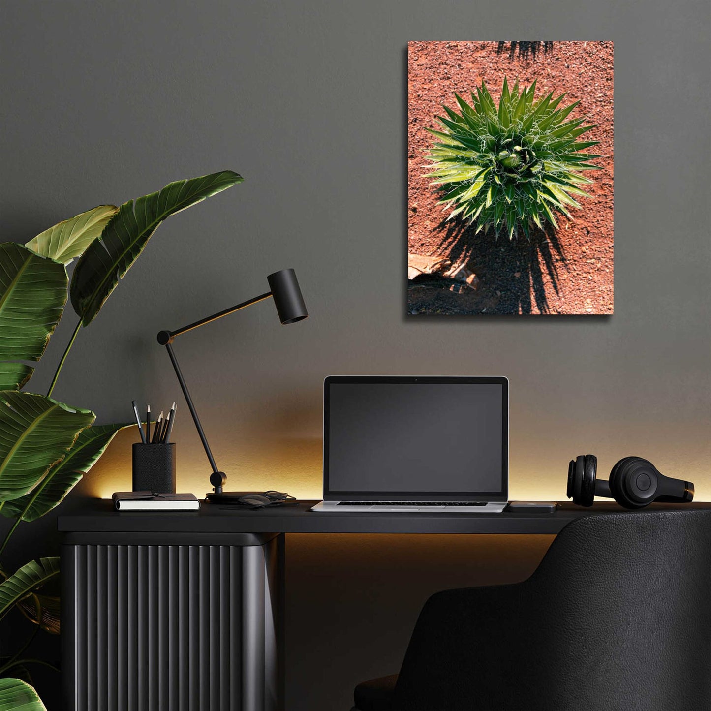 Epic Art 'Utah - Cactus 2' by Epic Portfolio, Acrylic Glass Wall Art,12x16