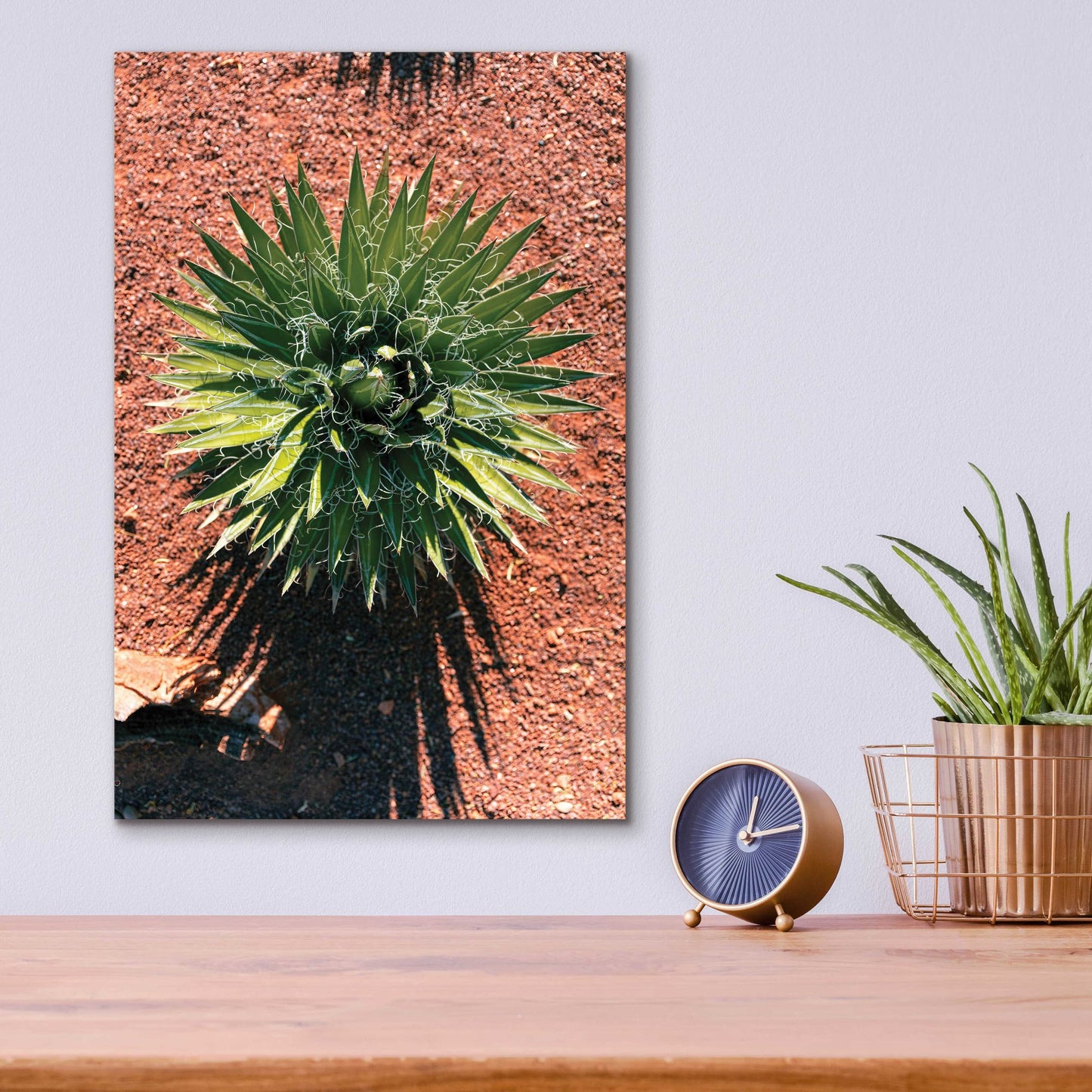 Epic Art 'Utah - Cactus 2' by Epic Portfolio, Acrylic Glass Wall Art,12x16