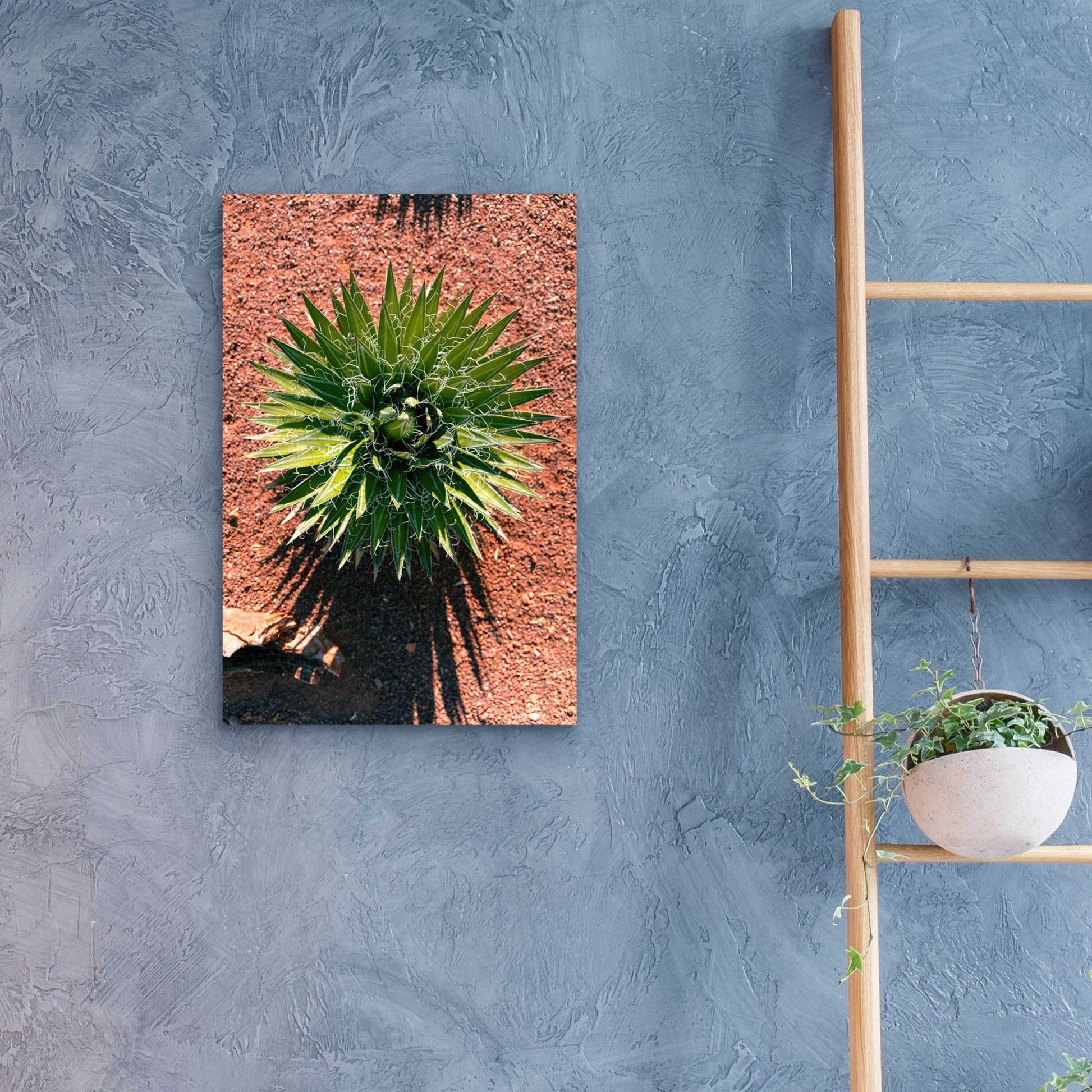 Epic Art 'Utah - Cactus 2' by Epic Portfolio, Acrylic Glass Wall Art,16x24