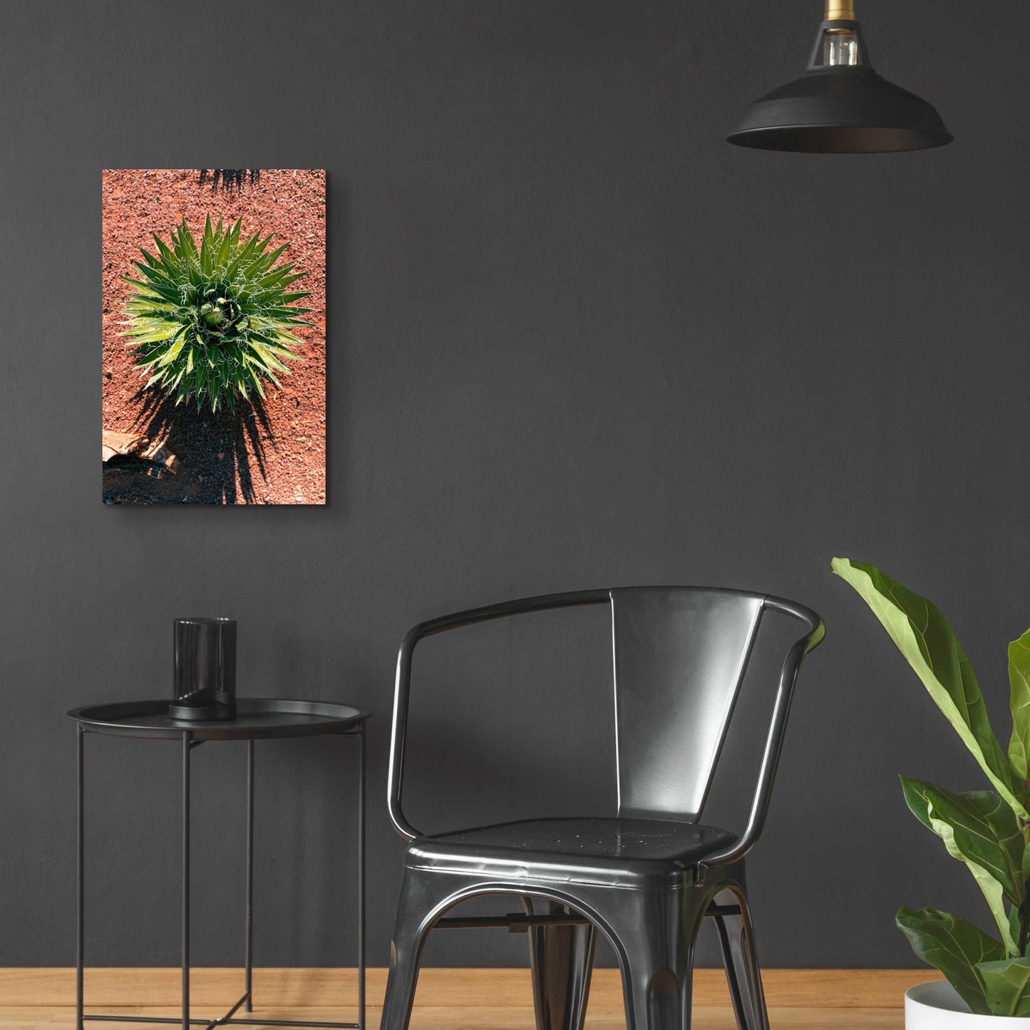 Epic Art 'Utah - Cactus 2' by Epic Portfolio, Acrylic Glass Wall Art,16x24