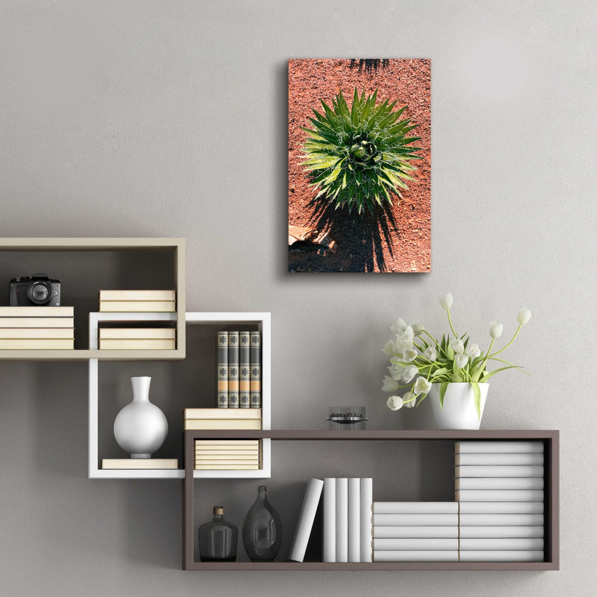 Epic Art 'Utah - Cactus 2' by Epic Portfolio, Acrylic Glass Wall Art,16x24