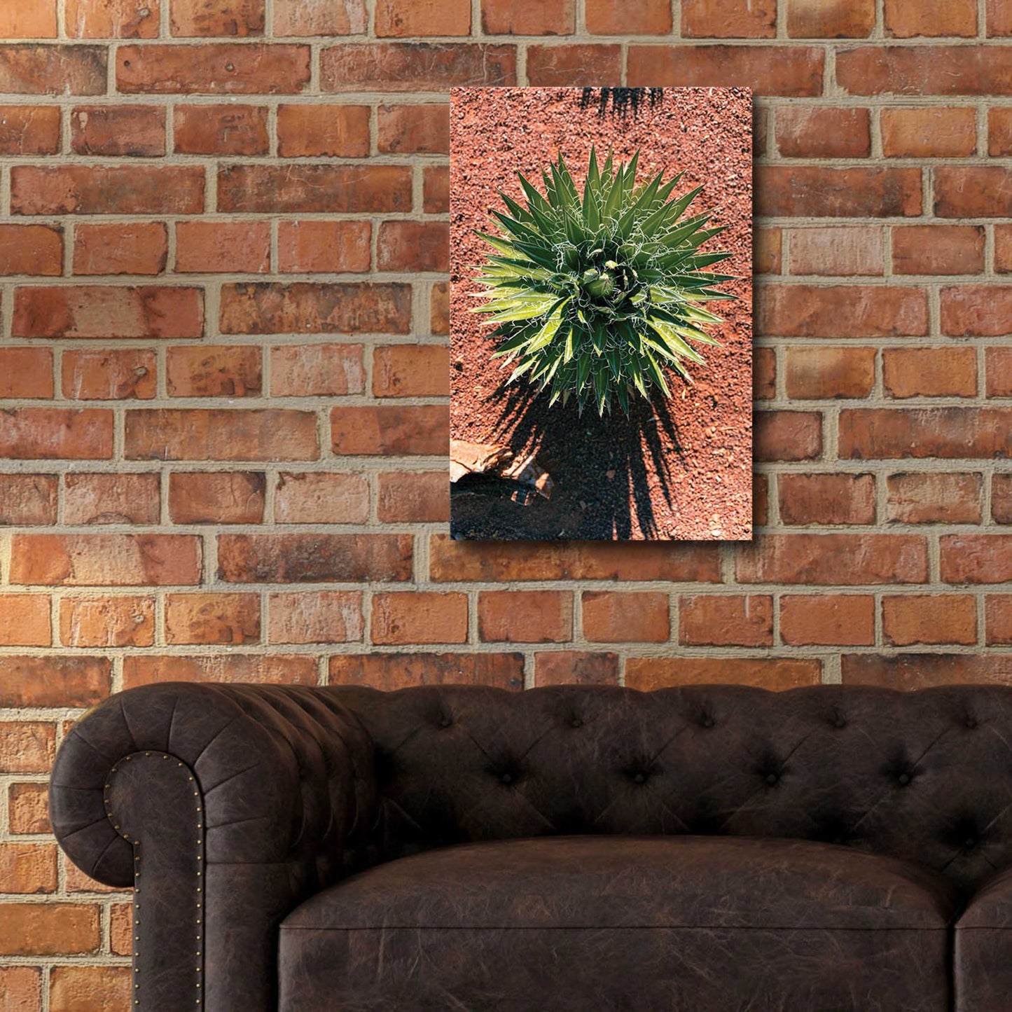 Epic Art 'Utah - Cactus 2' by Epic Portfolio, Acrylic Glass Wall Art,16x24