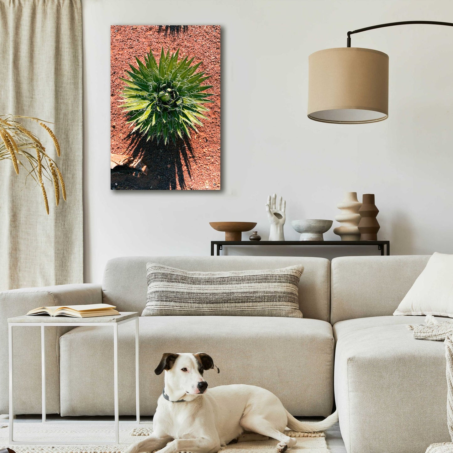 Epic Art 'Utah - Cactus 2' by Epic Portfolio, Acrylic Glass Wall Art,24x36