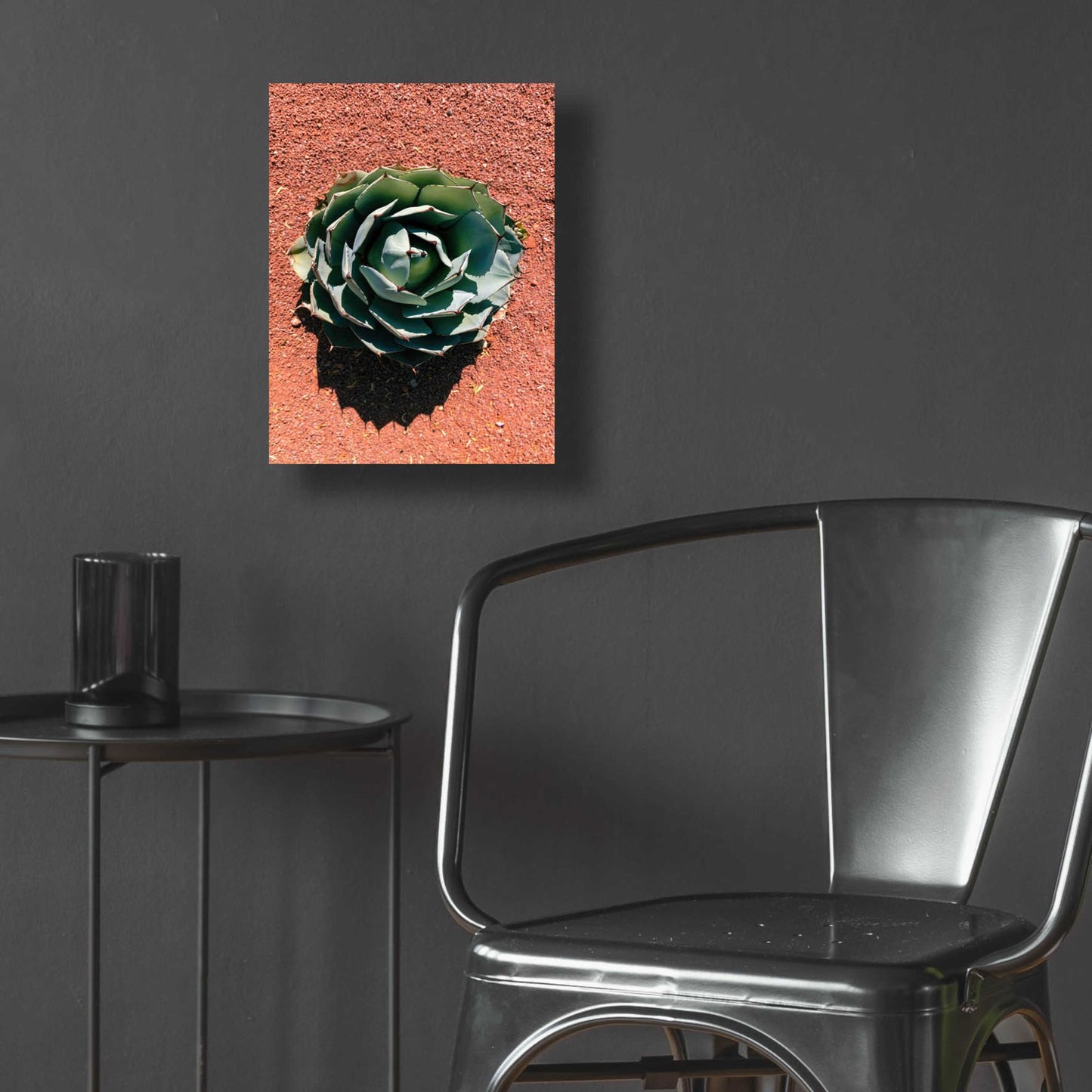 Epic Art 'Utah - Cactus 3' by Epic Portfolio, Acrylic Glass Wall Art,12x16