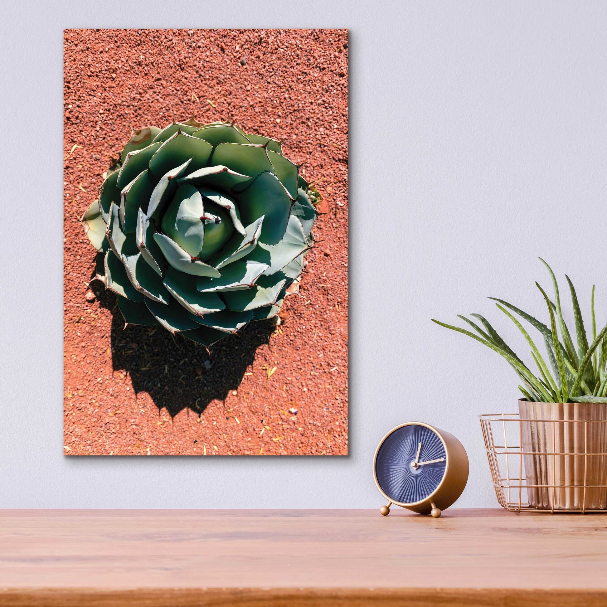 Epic Art 'Utah - Cactus 3' by Epic Portfolio, Acrylic Glass Wall Art,12x16